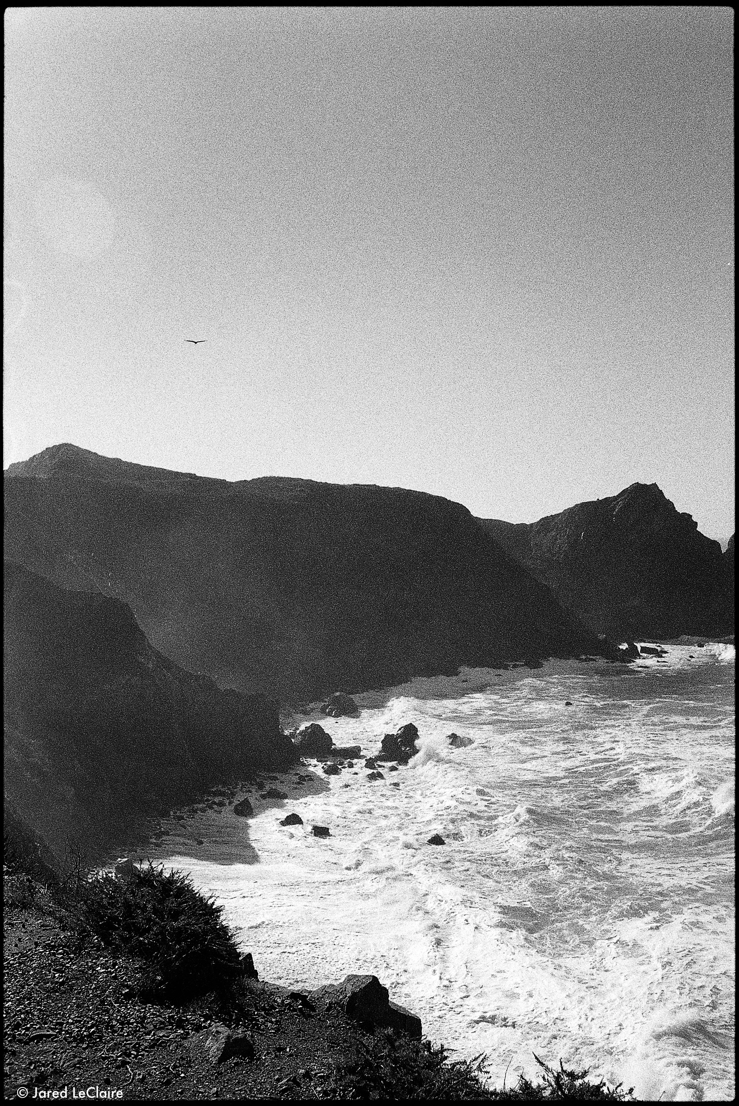 20250228_001 film scans_0065.jpg