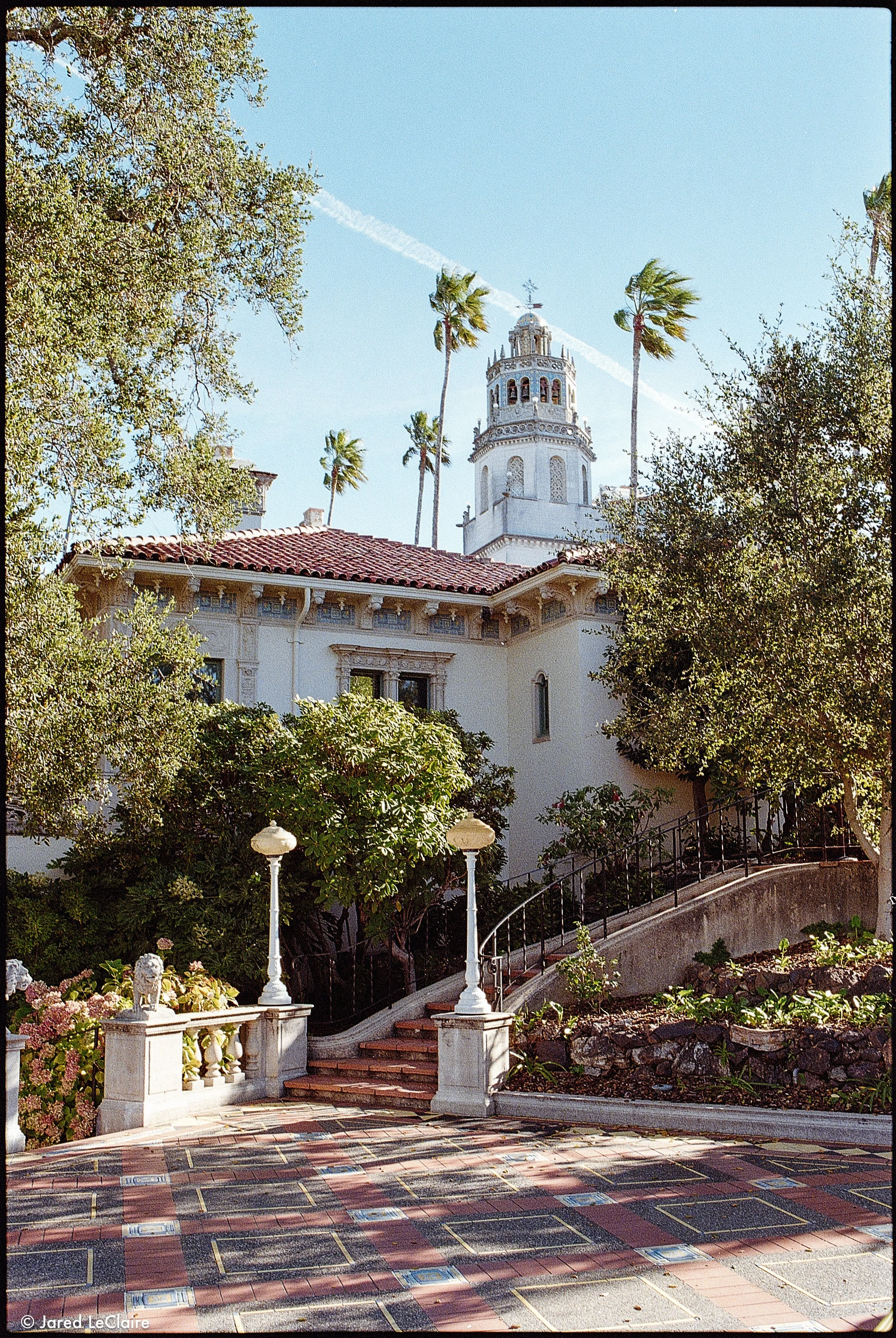 20250227_001 film scans_0008.jpg