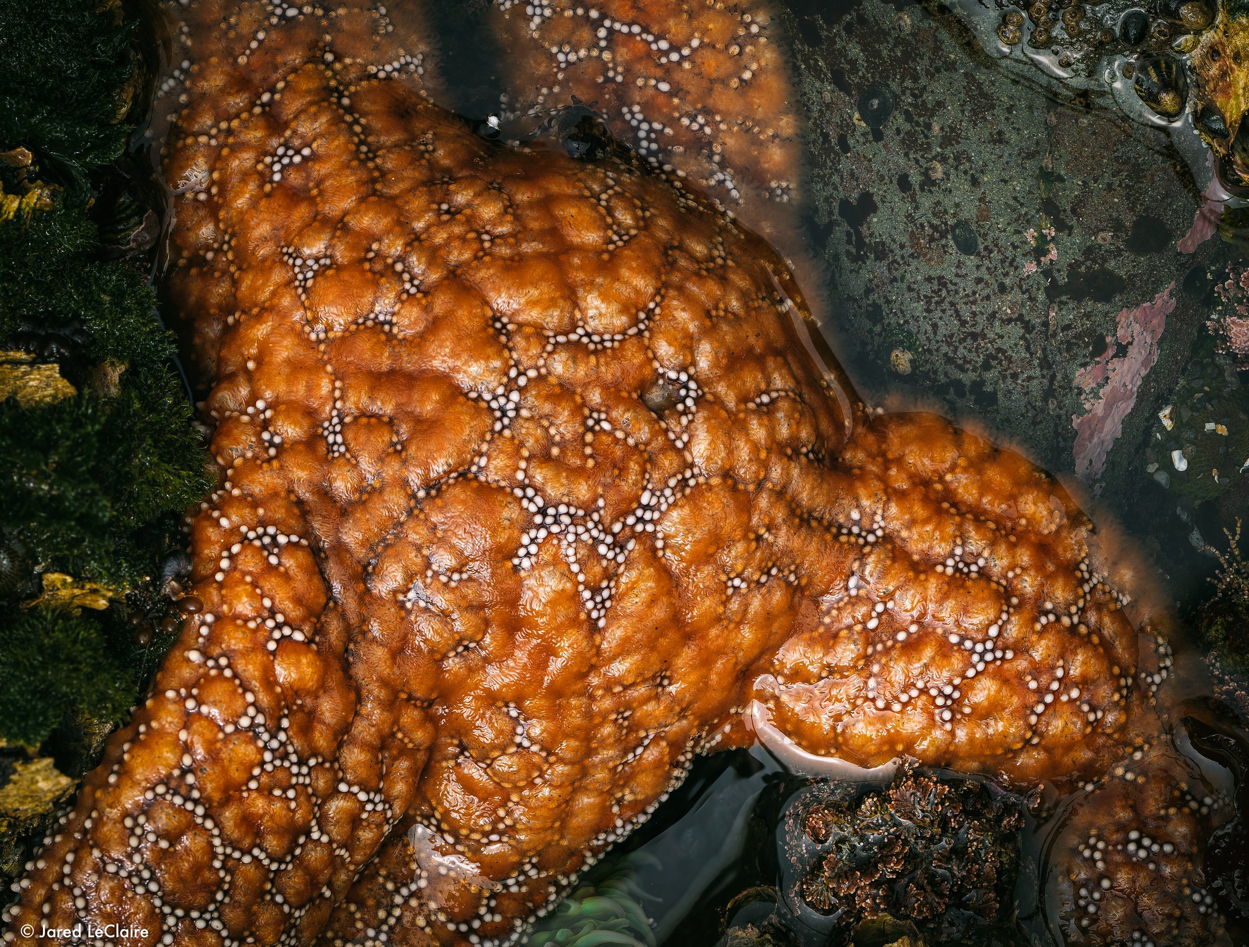 2024-08-17 10-31-38 (B,R12,S4).jpg