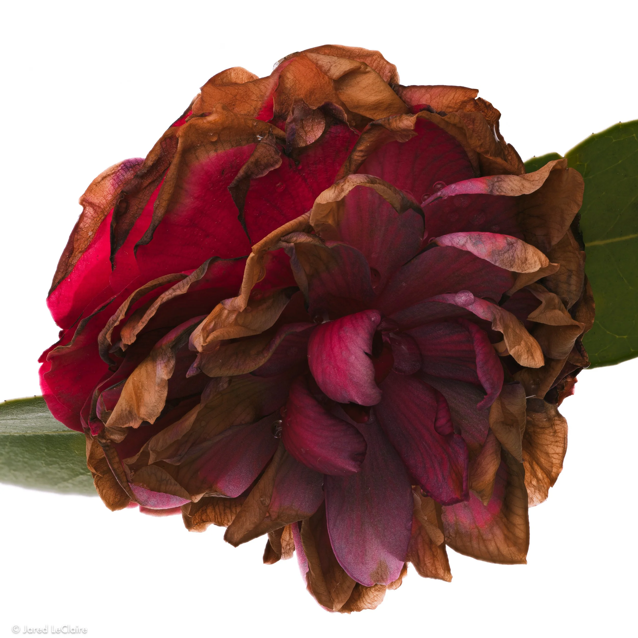 2024-04-14 14-20-30 (C,S2).jpg