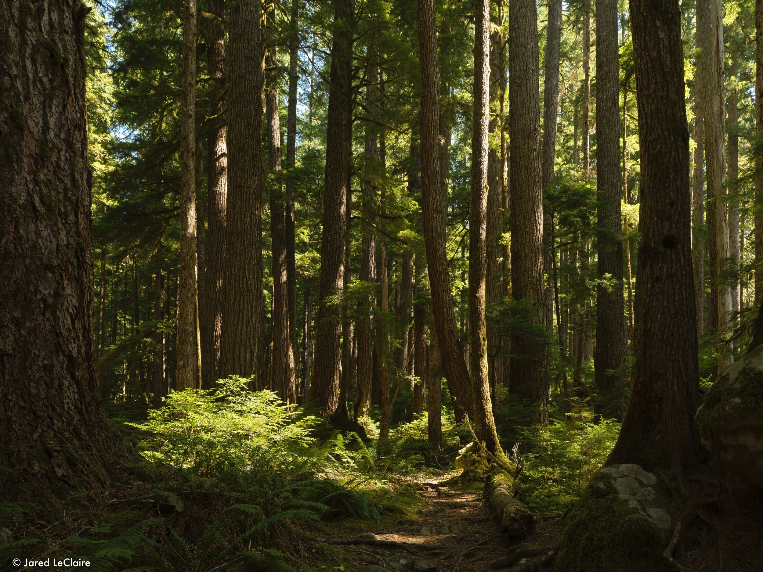 20240811_001 olympic_0510.jpg