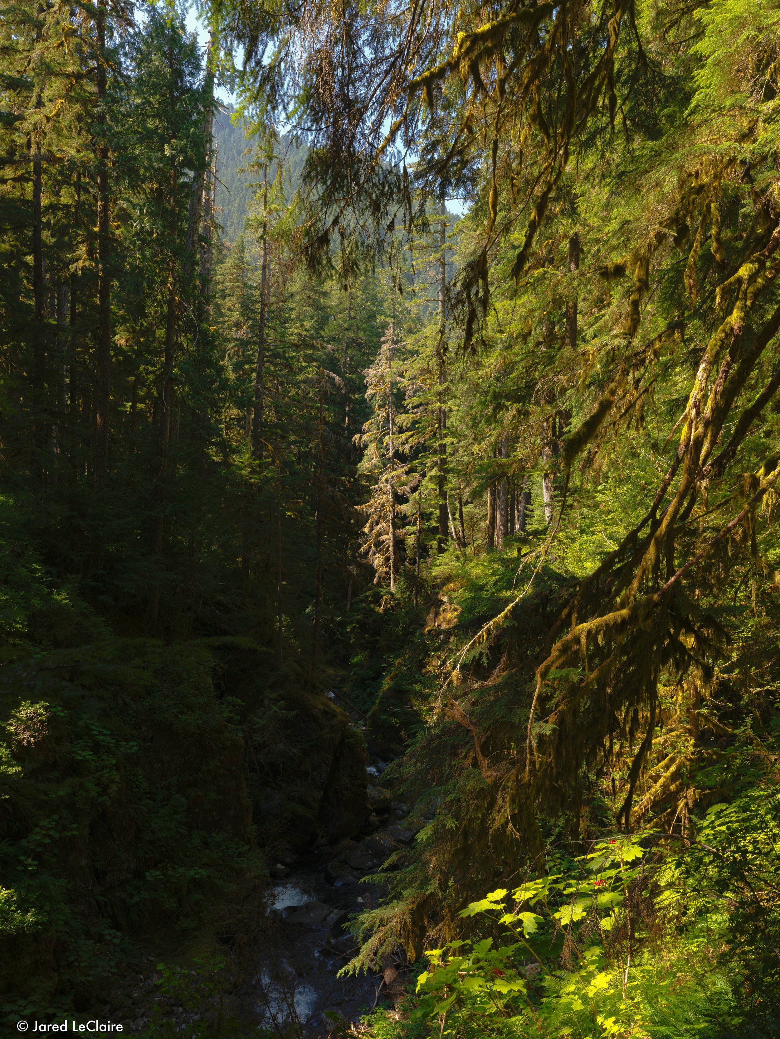 20240811_001 olympic_0512.jpg