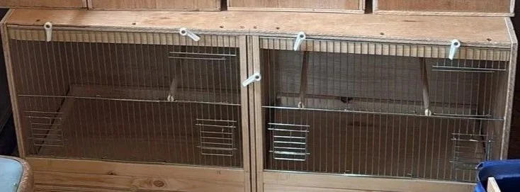 Two empty wooden animal enclosures with wire doors and ventilation slats.