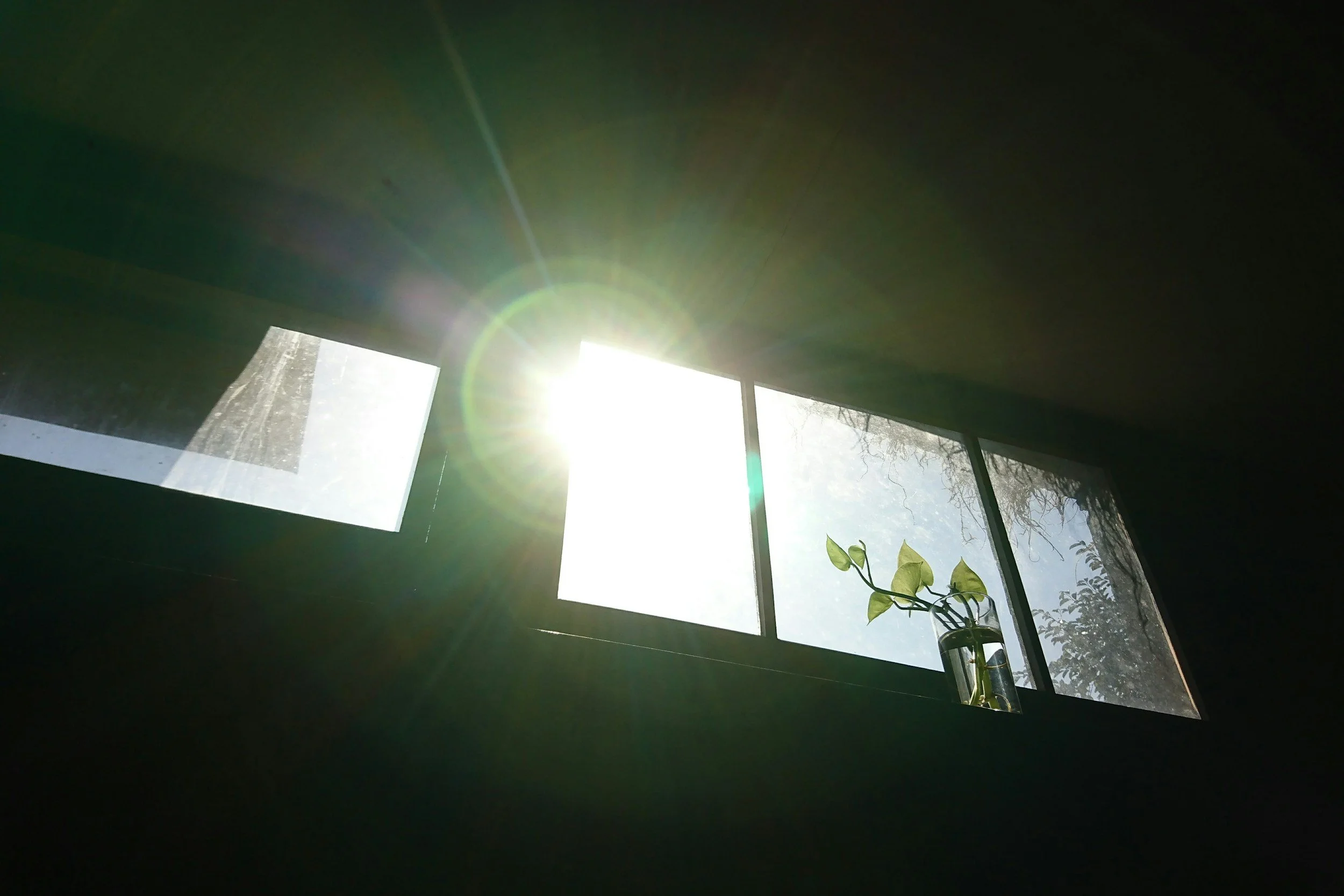 Sunlight shining through a window with three panes, a vase with green leaves on the windowsill, and trees visible outside.