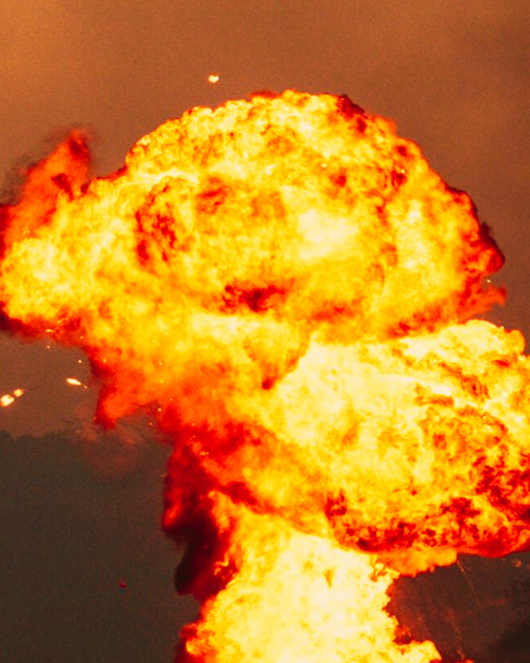 the cost of a senseless war