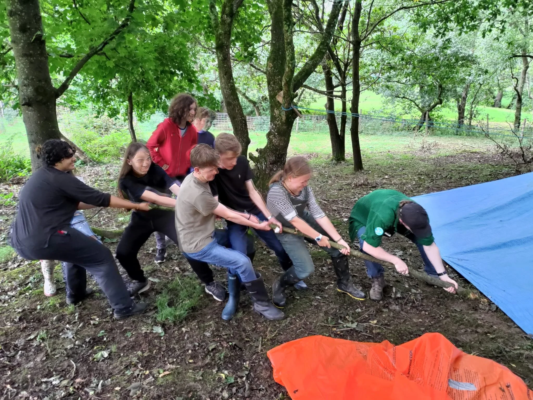 A group of children and a woman are pulling on a rope outdoors among trees, engaging in a team activity or game. A bright blue tarp and orange object are visible on the ground.