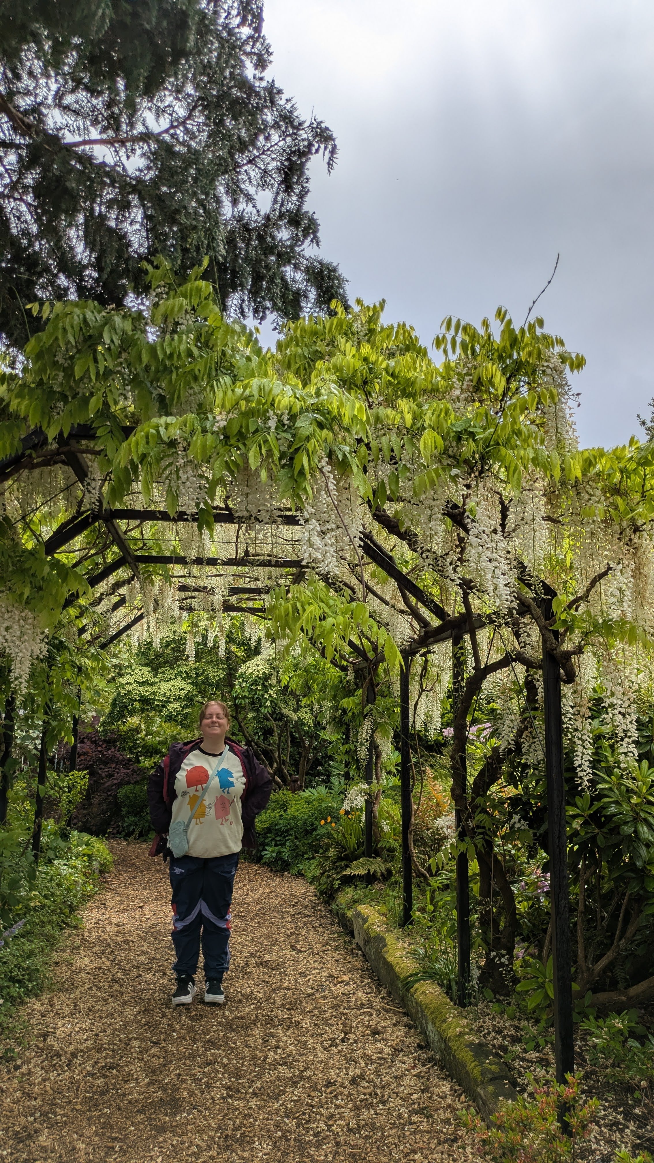 Person standing on a garden path beneath a canopy of flowering trees with greenery and hanging white blossoms.