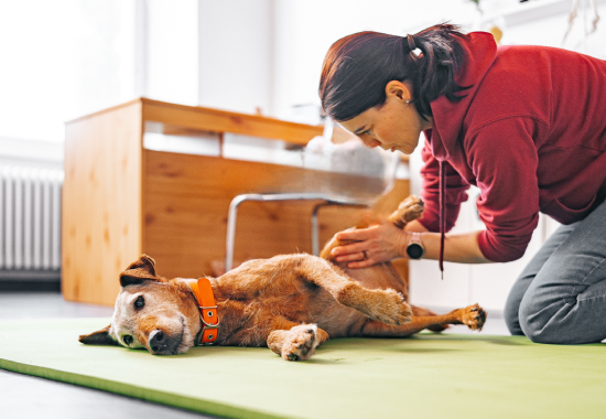 Therapeutische-Massage