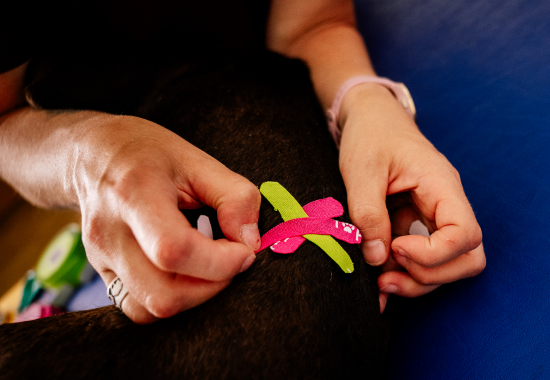 kinesiologisches-Taping