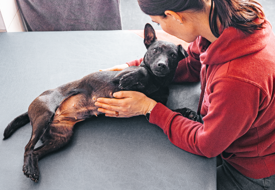 Craniosakrale Osteopathie