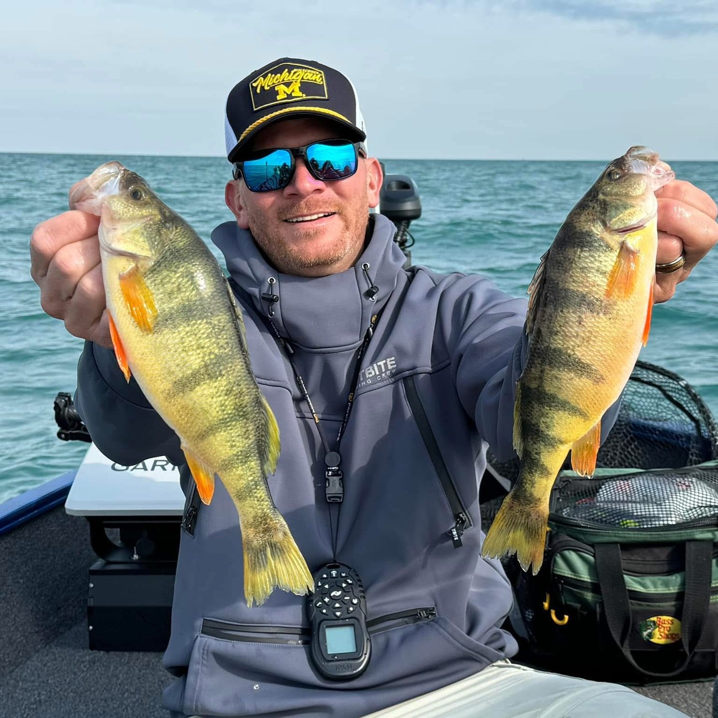 Jumbo yellow perch caught on Lake St. Clair during fishing trip