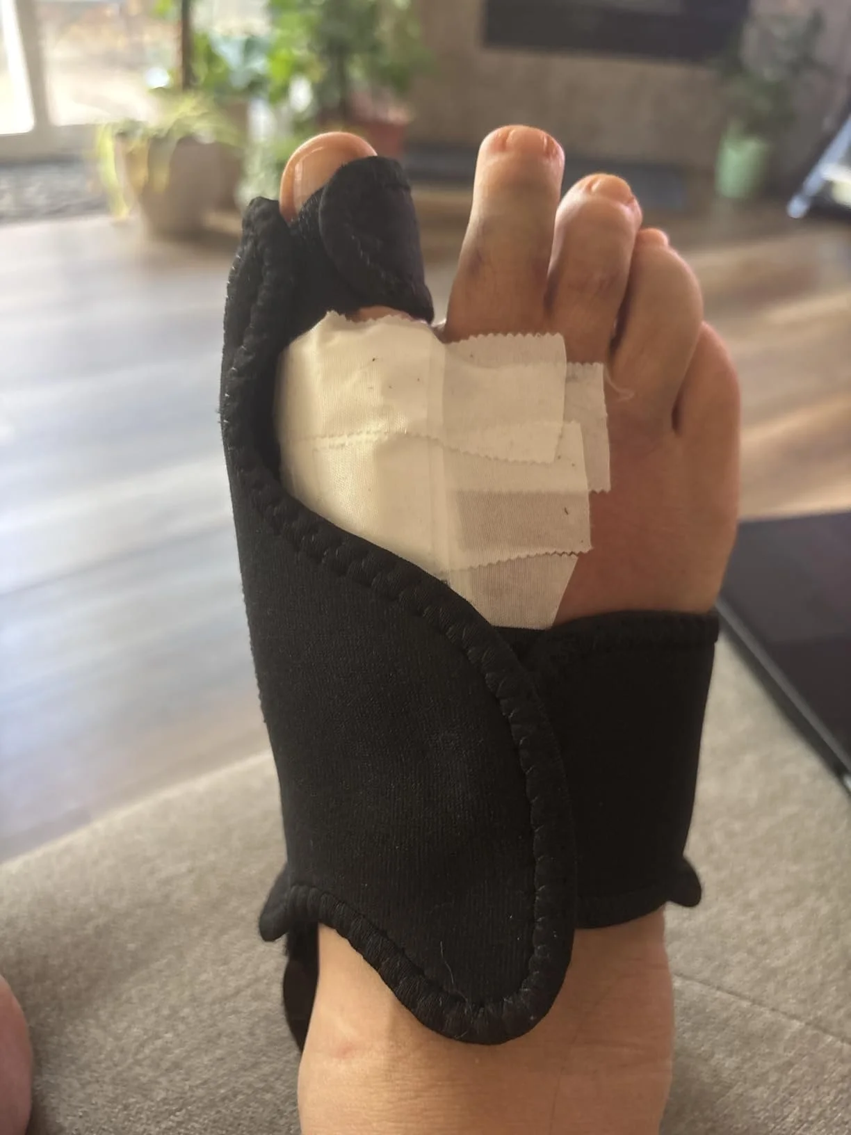 SPLINT 7.jpg