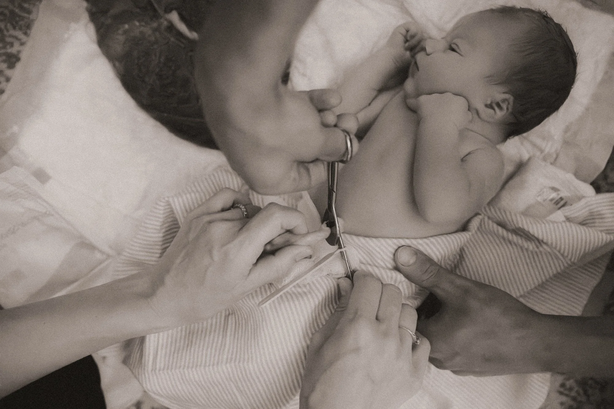 natural home birth midwife bluemont virgina.jpg