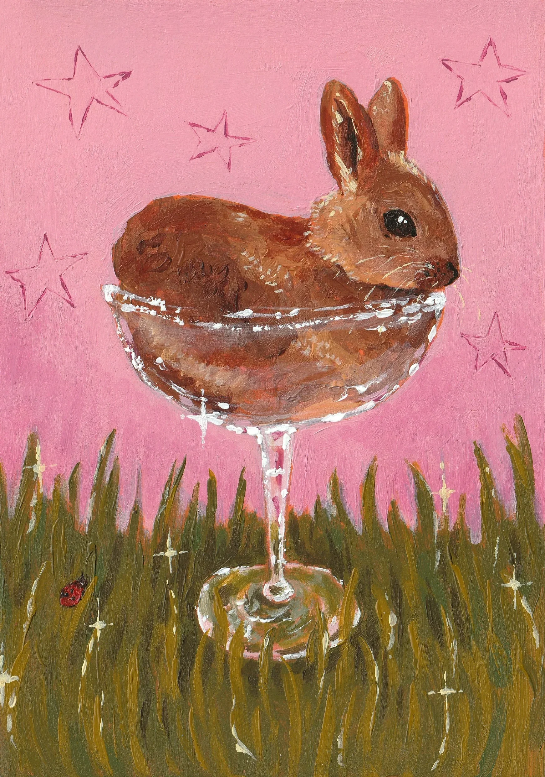 rabbit.webp