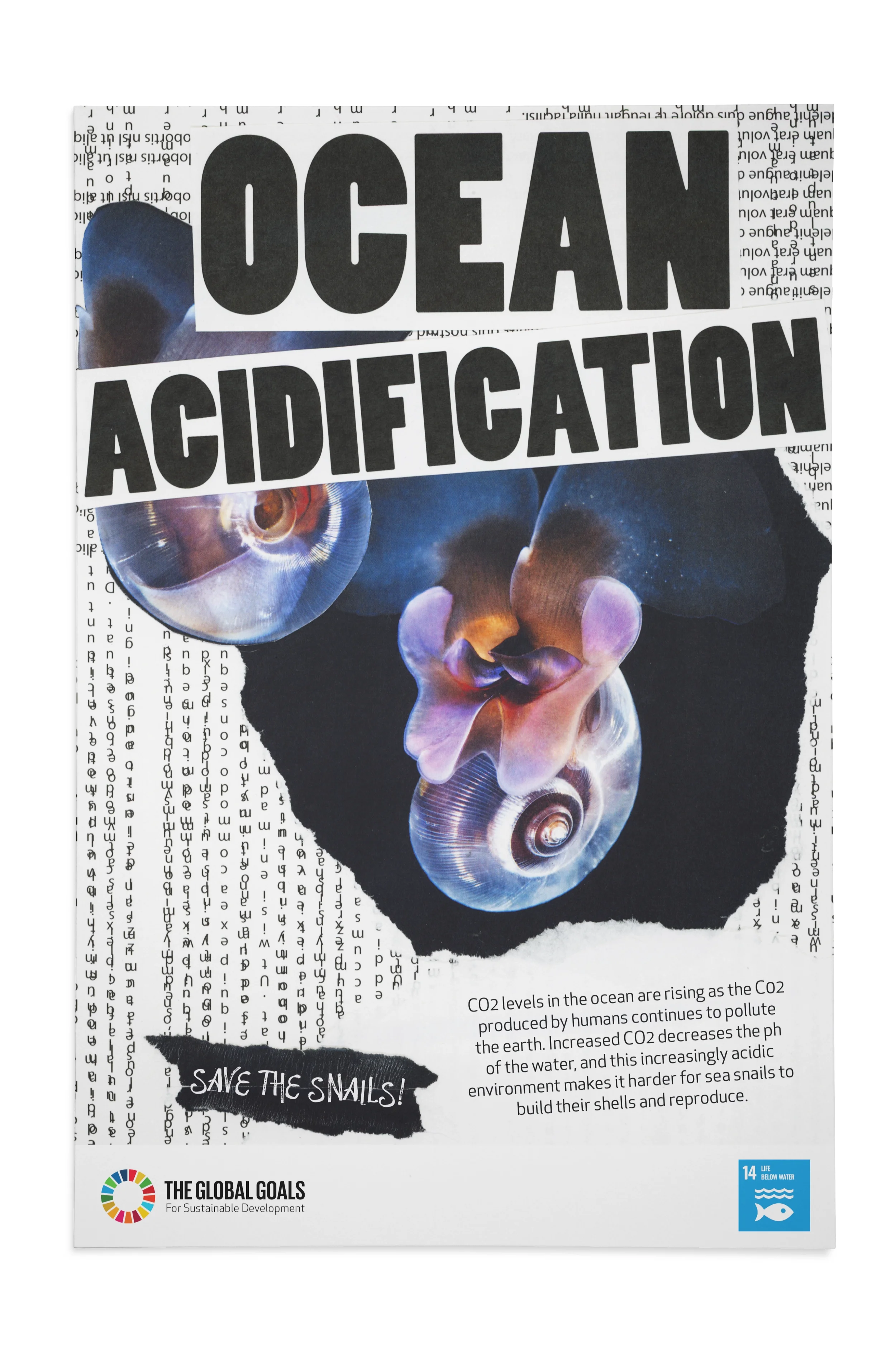 Save the Snails Campaign