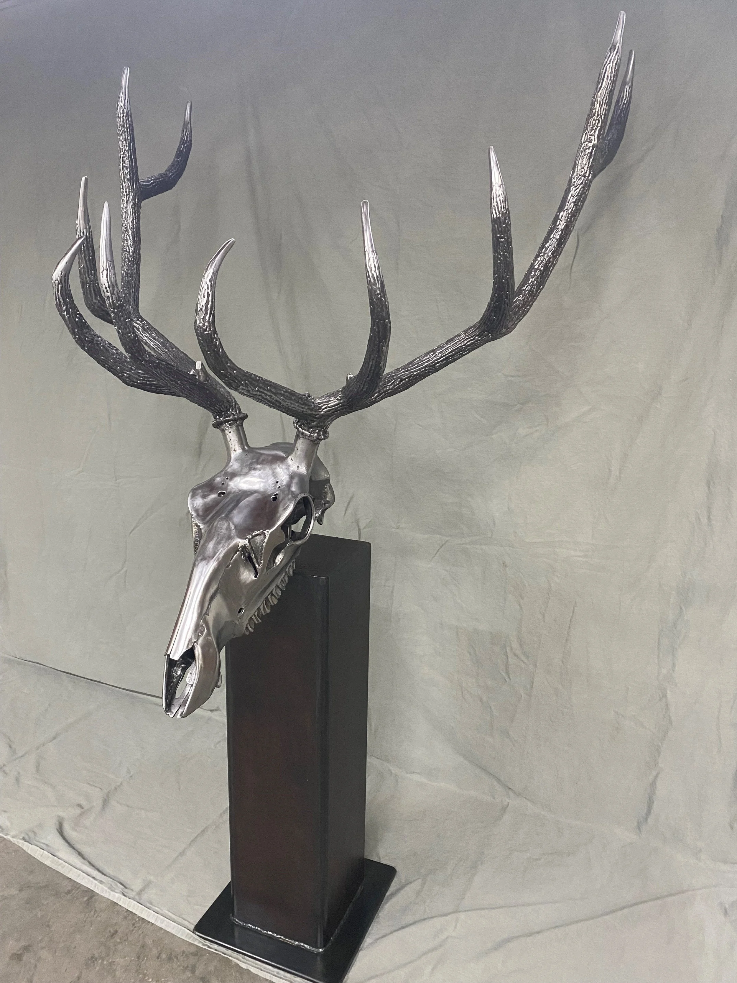 Elk.jpg