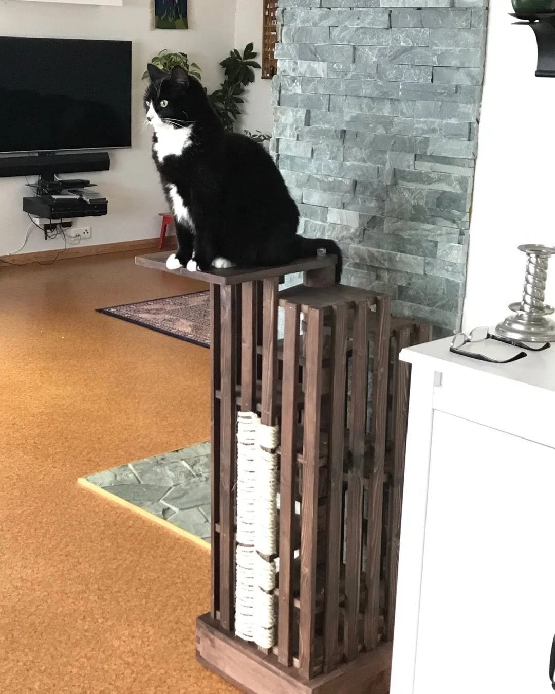 Klatrestativ med vindeltrapp og klorebrett.