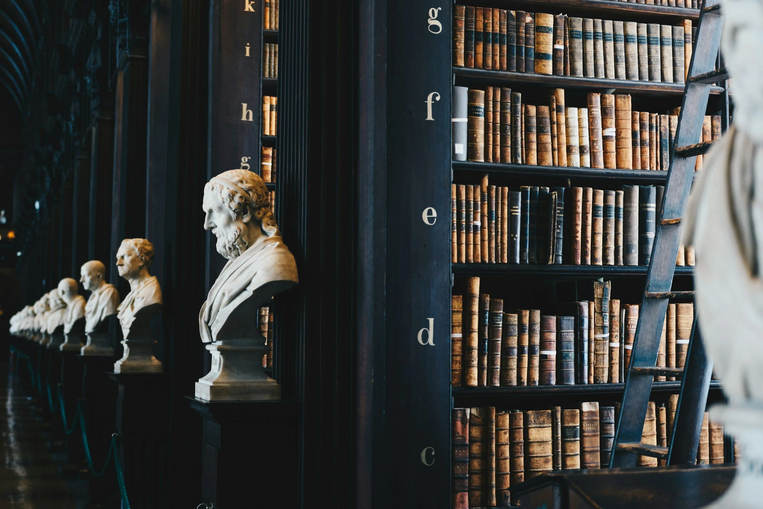 Rij bibliotheken met oude boeken en bustes van oude Grieken of Romeinen in een statige bibliotheek of museum.