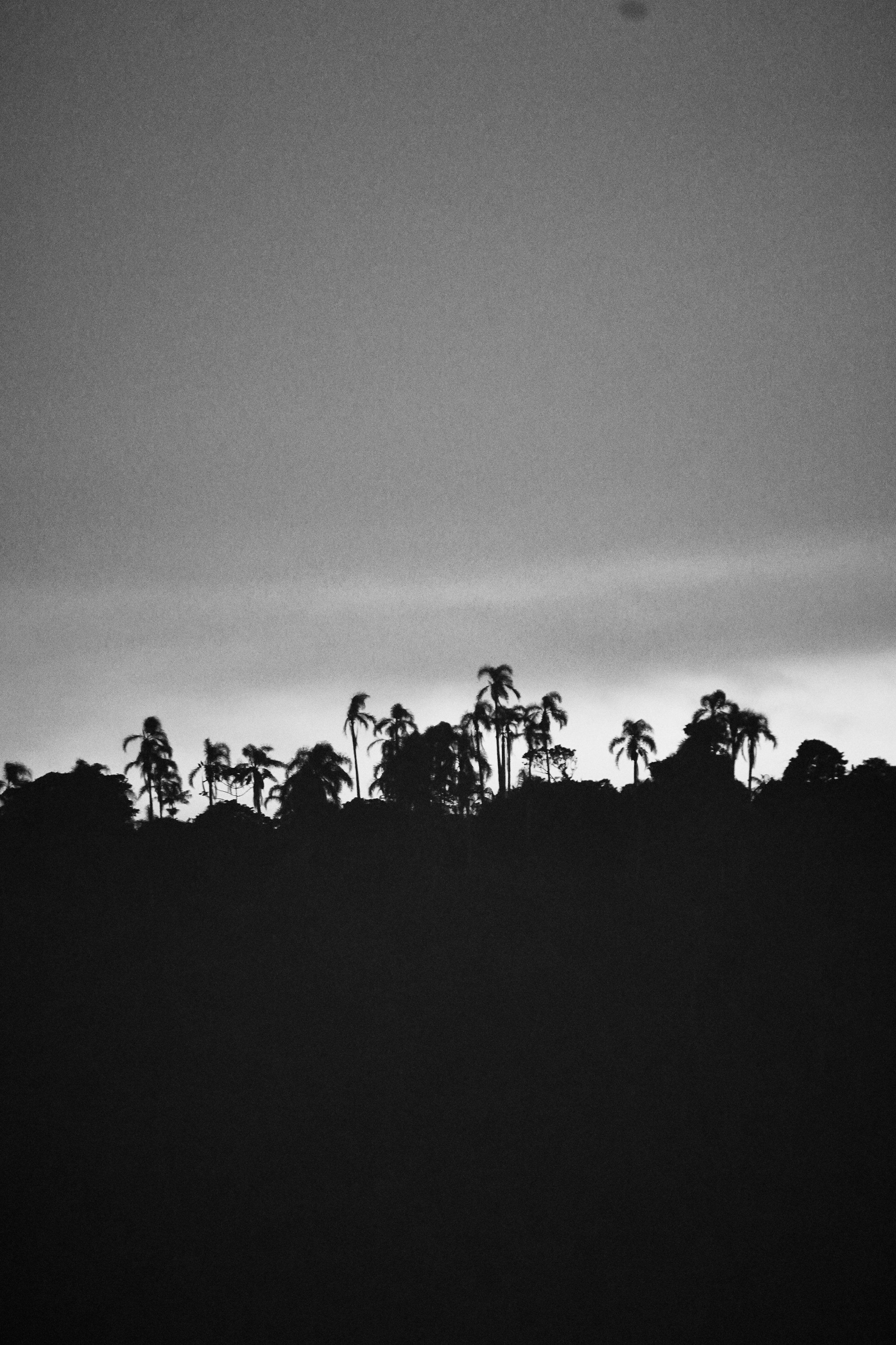 DSC06836.jpeg