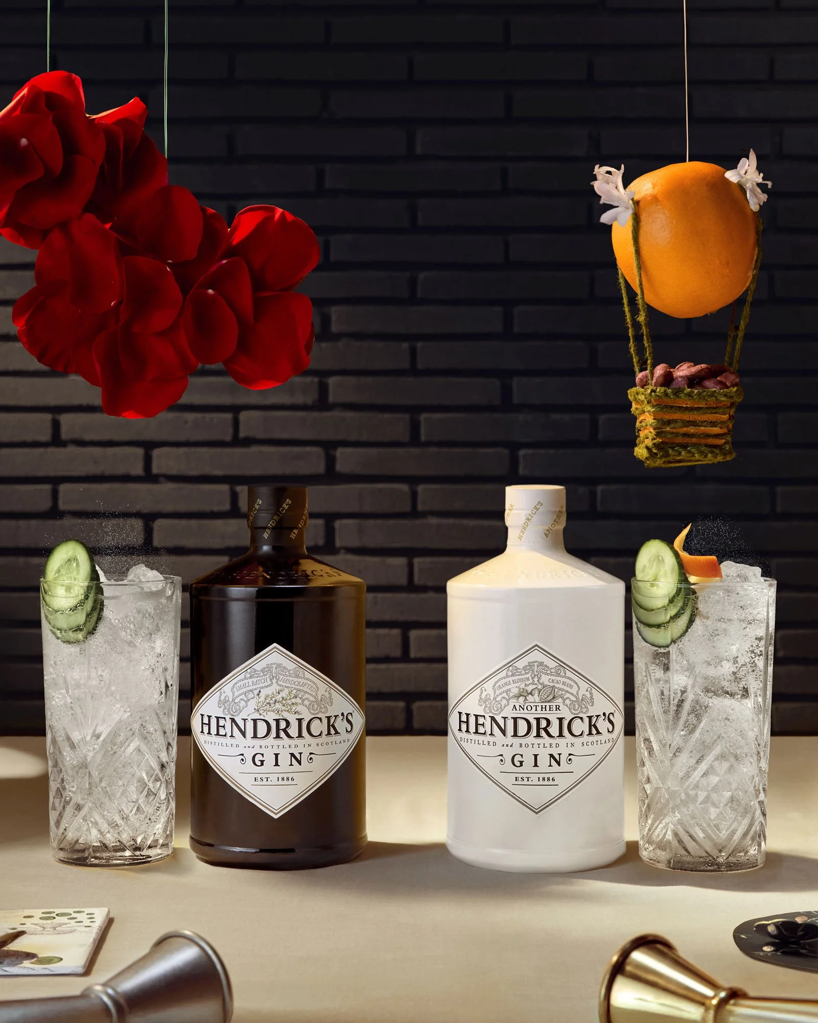 Hendricks_Mirrored_BothBottles_Highballs_4x5.jpg