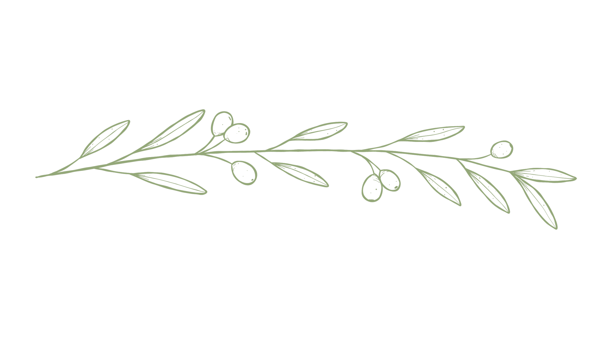 Hand-drawn light green olive branch with leaves and olives on a black background.