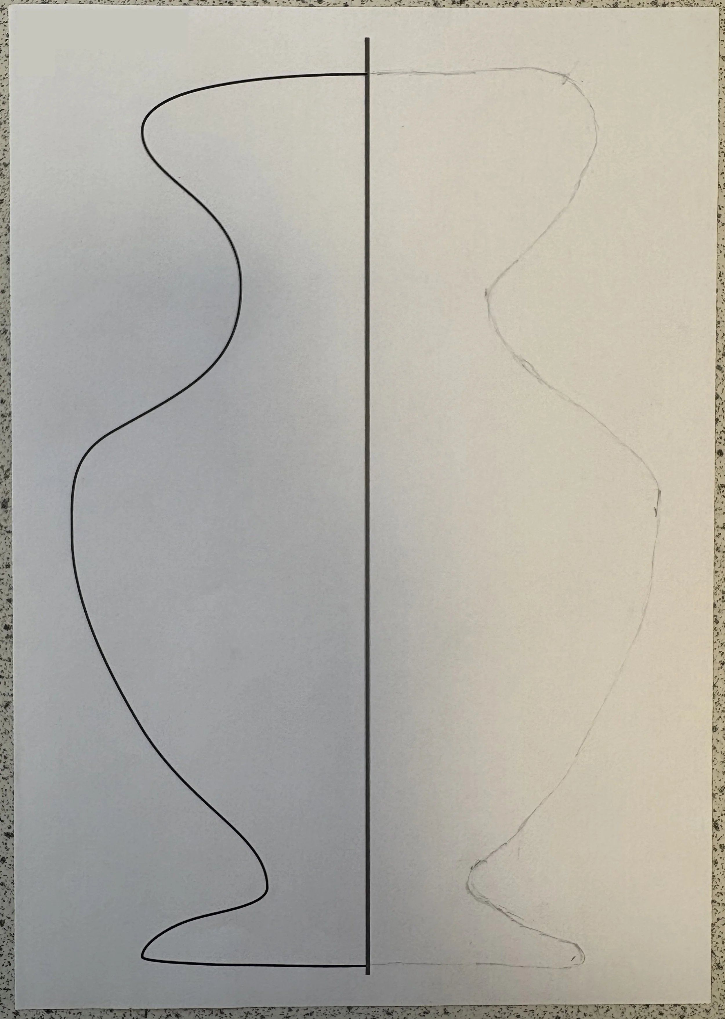 Scale, Symmetry and Proportions worksheet.