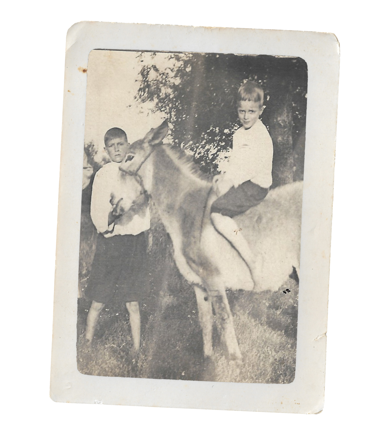 Two young boys outdoors with a donkey, one sitting on the donkey and the other standing beside it, under a tree.