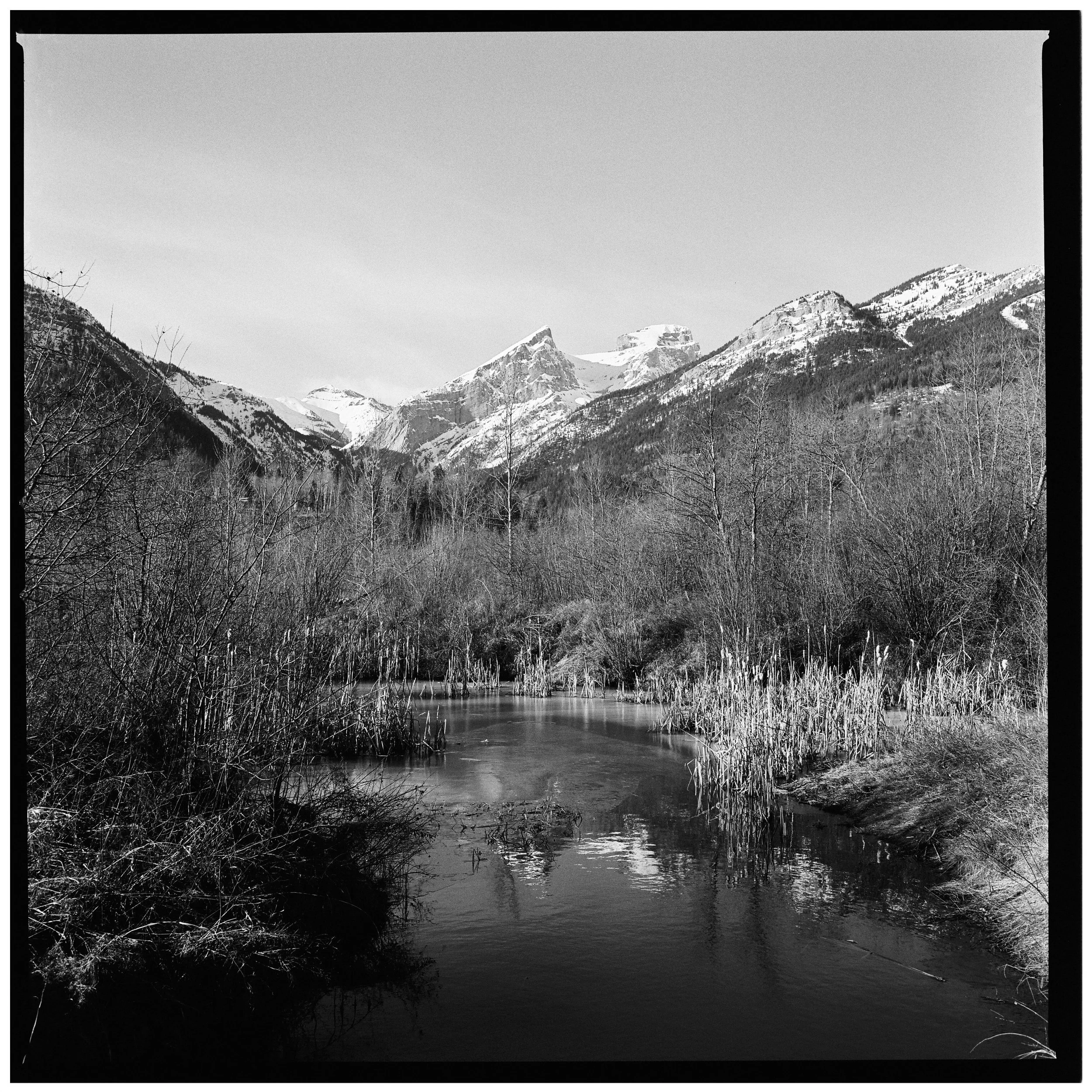 untitled-5.jpg