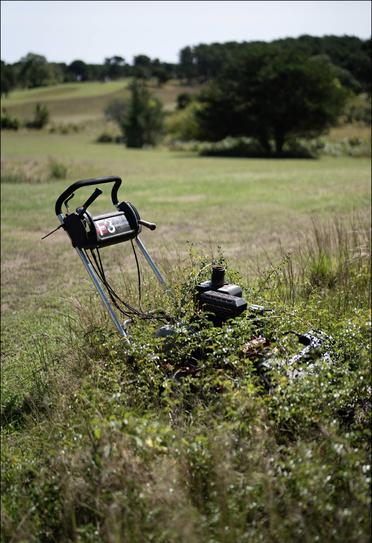 Screenshot 2024-12-05 at 10.02.36 AM.png