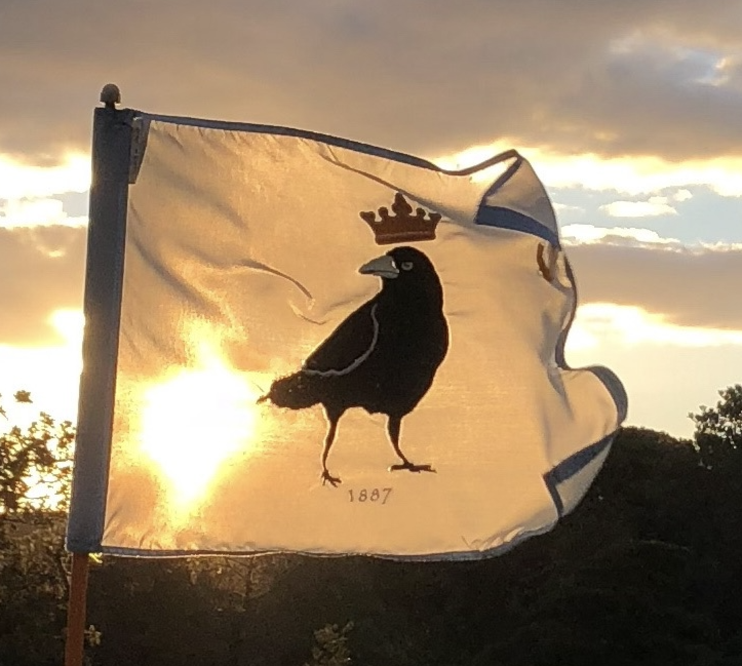 9th HOLE - Naming Rights