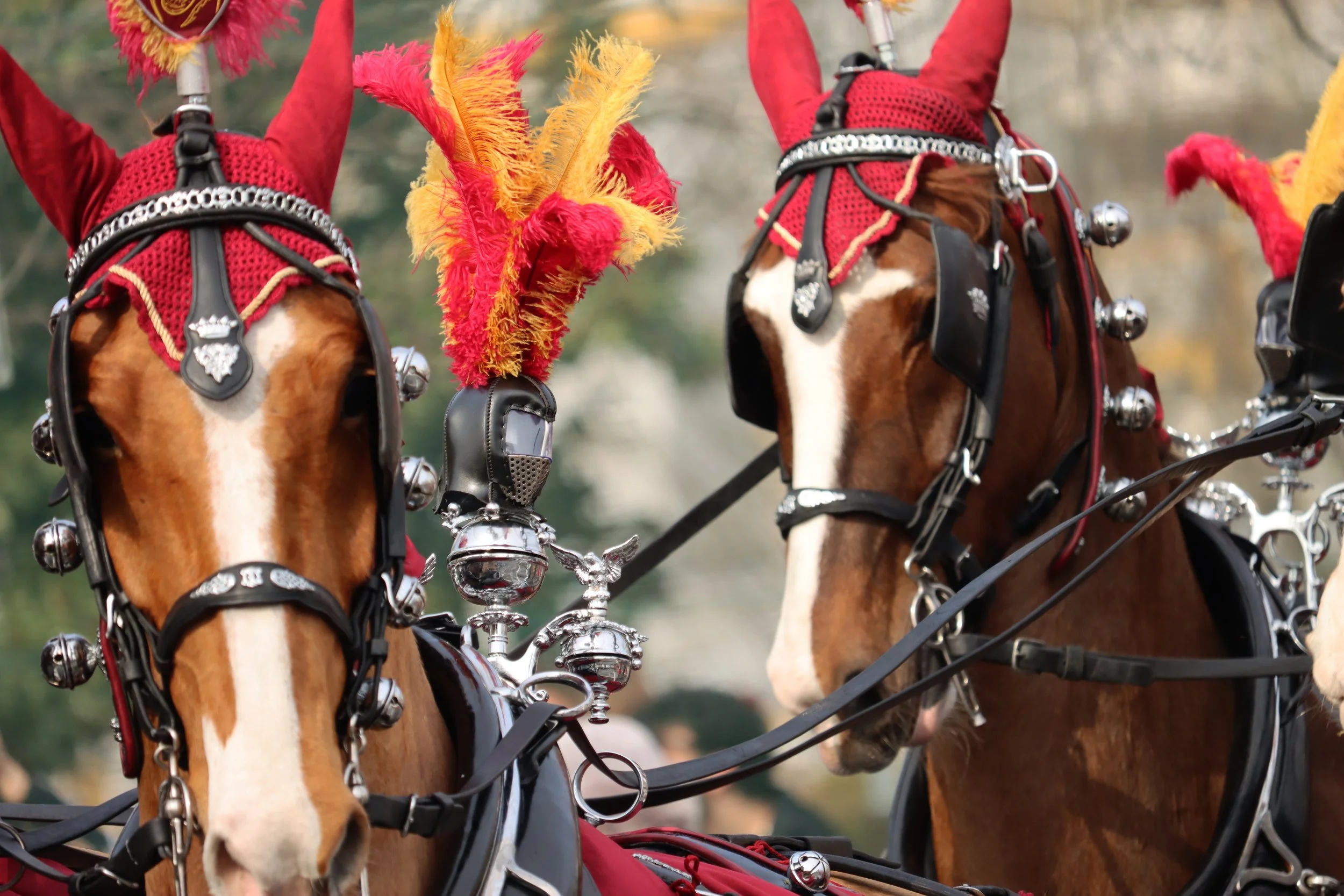 _alessandrap._ (5).JPG