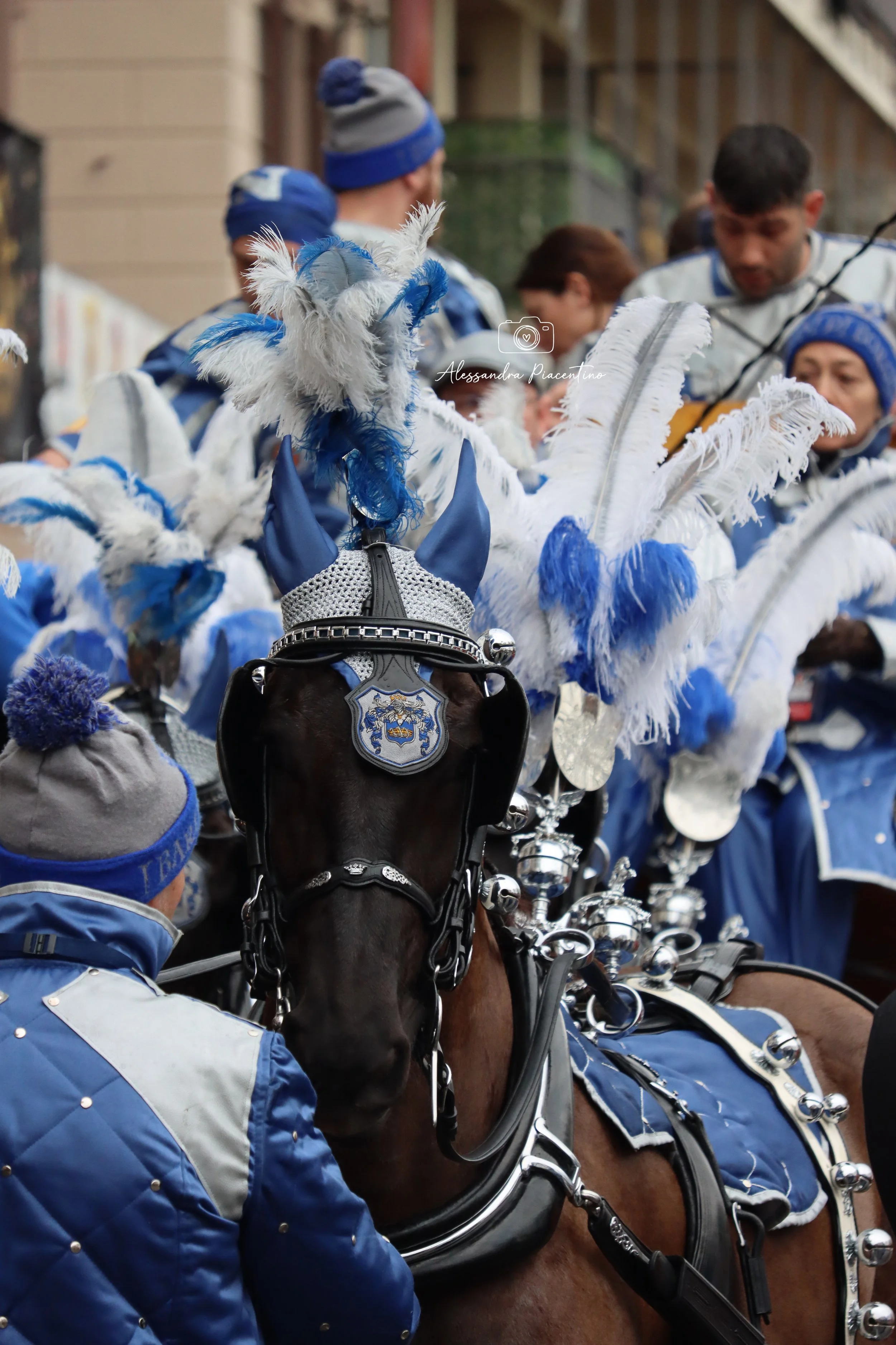 _alessandrap._ (28).JPG