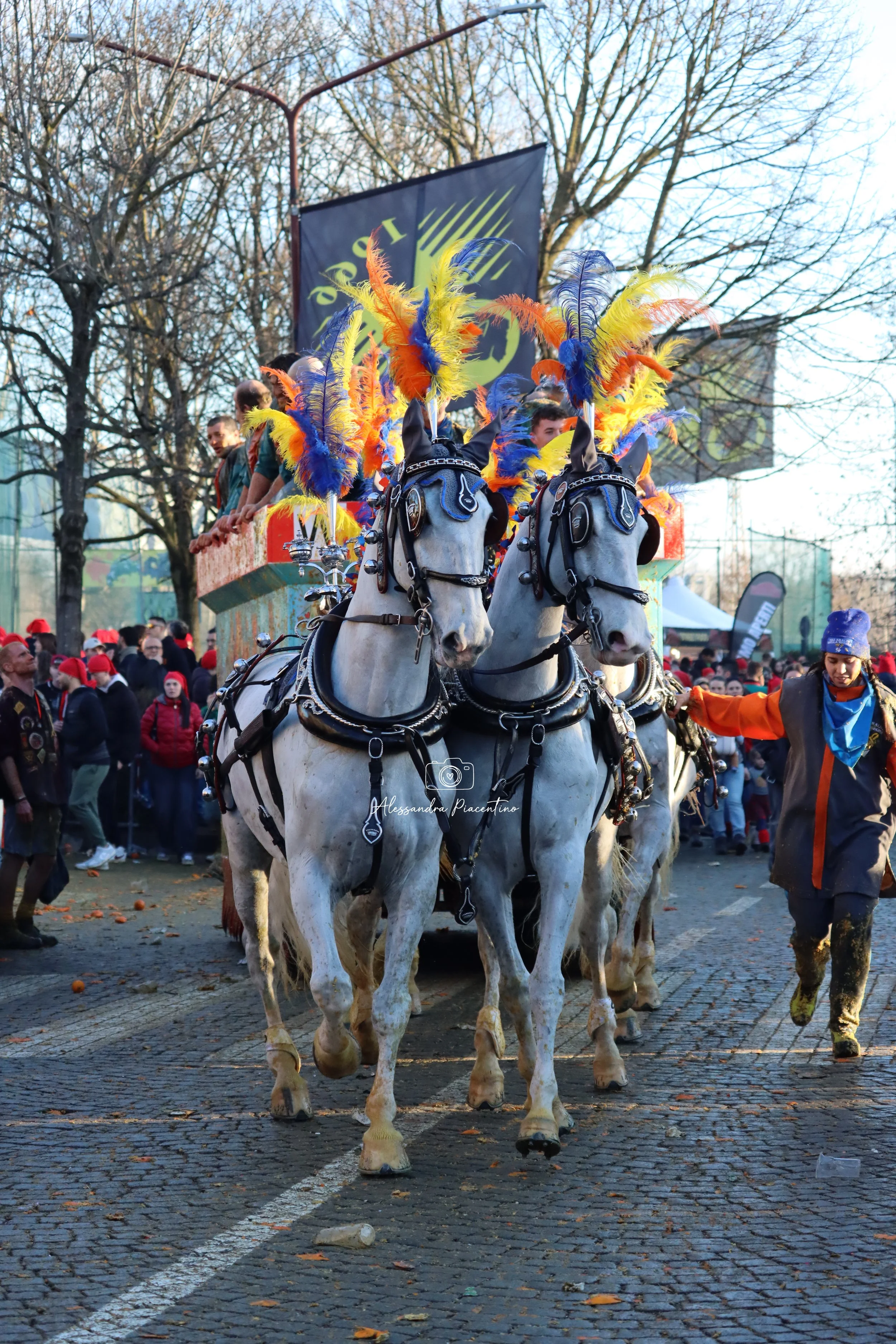 _alessandrap._ (23).JPG