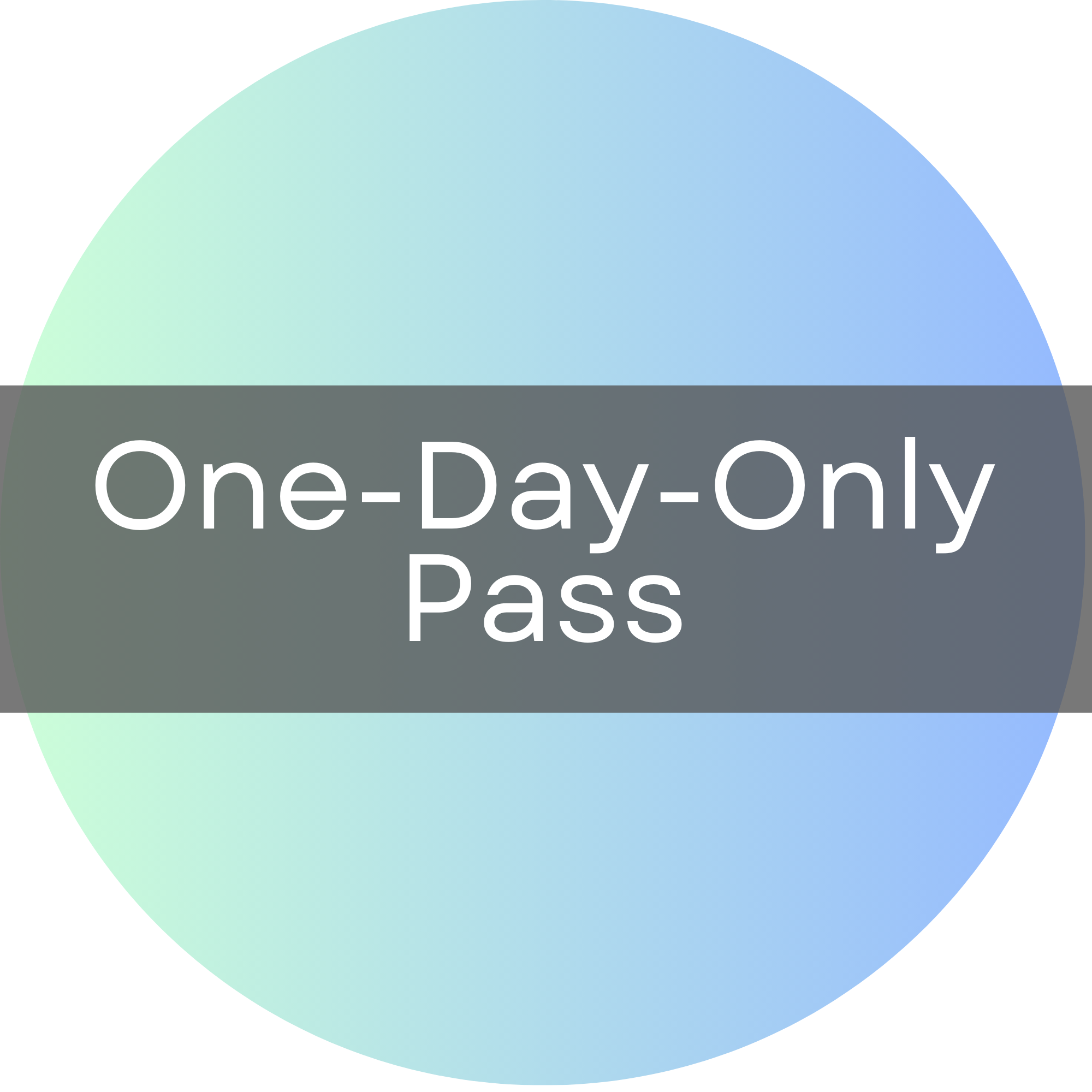 ONE-DAY-ONLY PASS.png