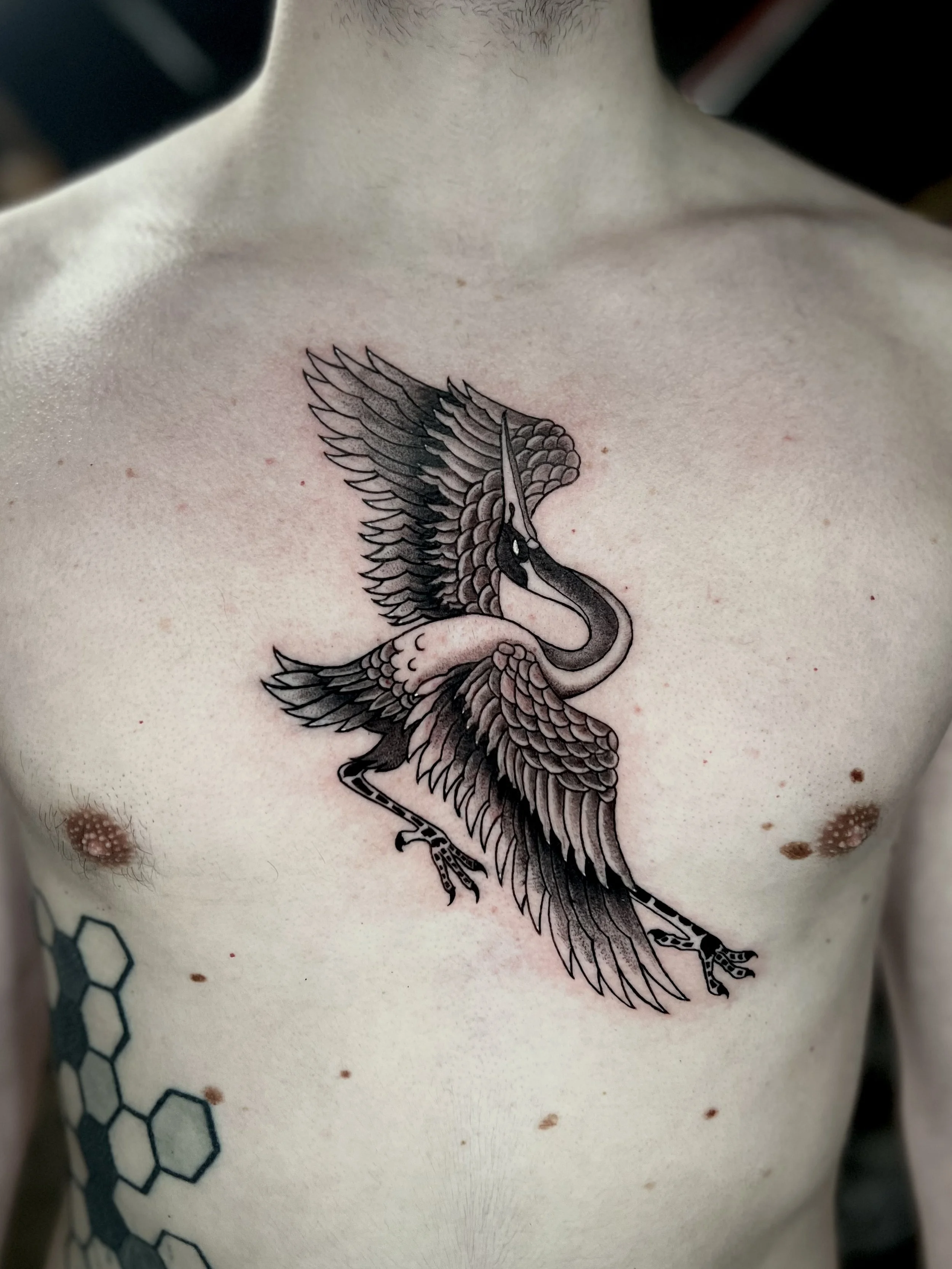 Tattoo of a detailed soaring heron with outstretched wings on a person's chest.