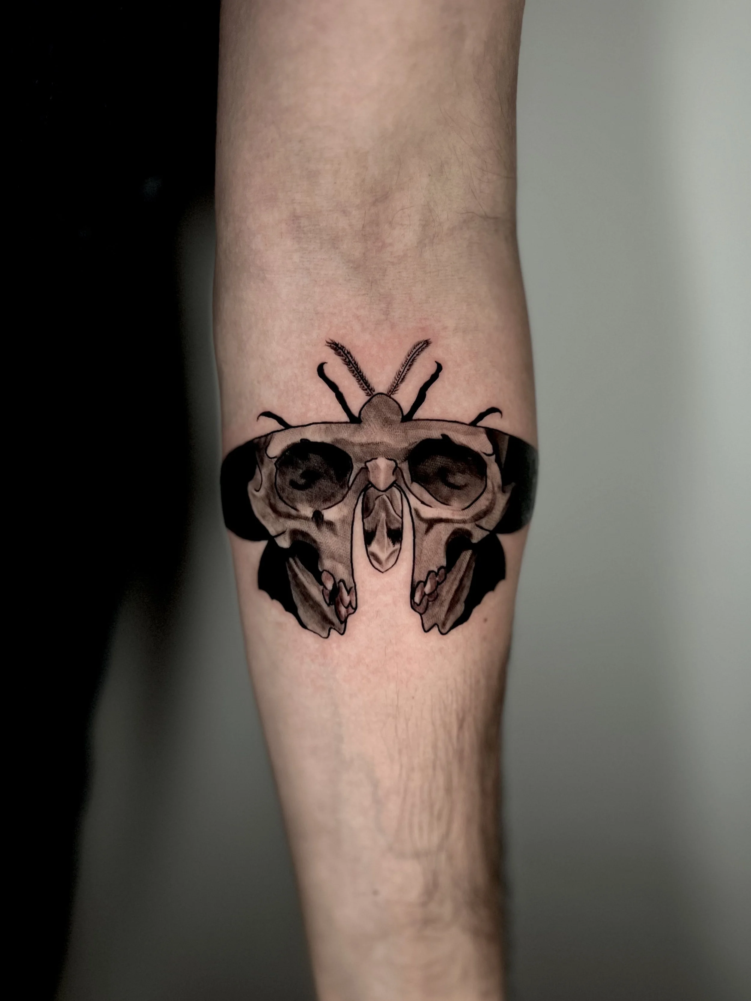 Tattoo of a moth with skull wings on person's leg.