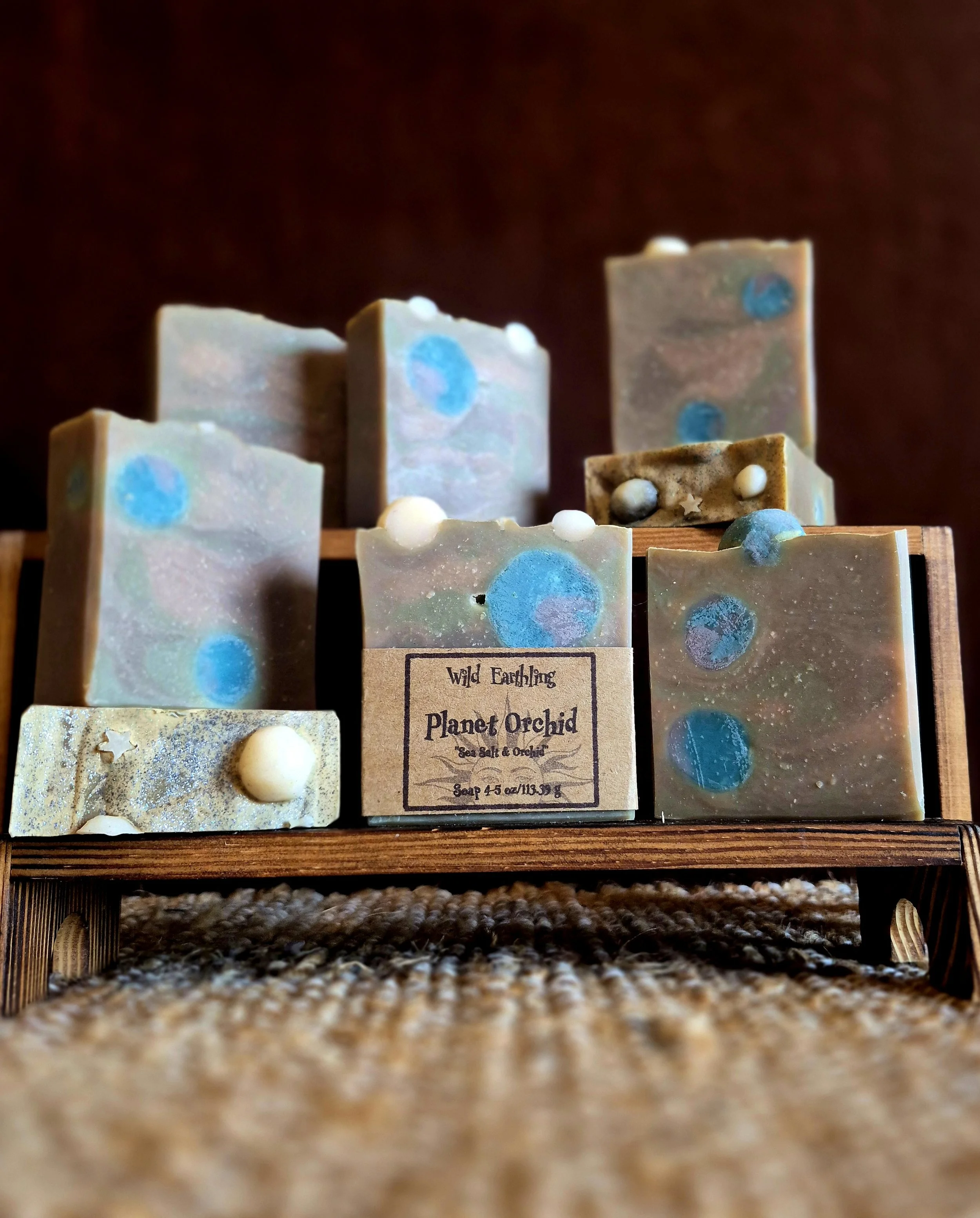 Plant Orchid down low view.jpg