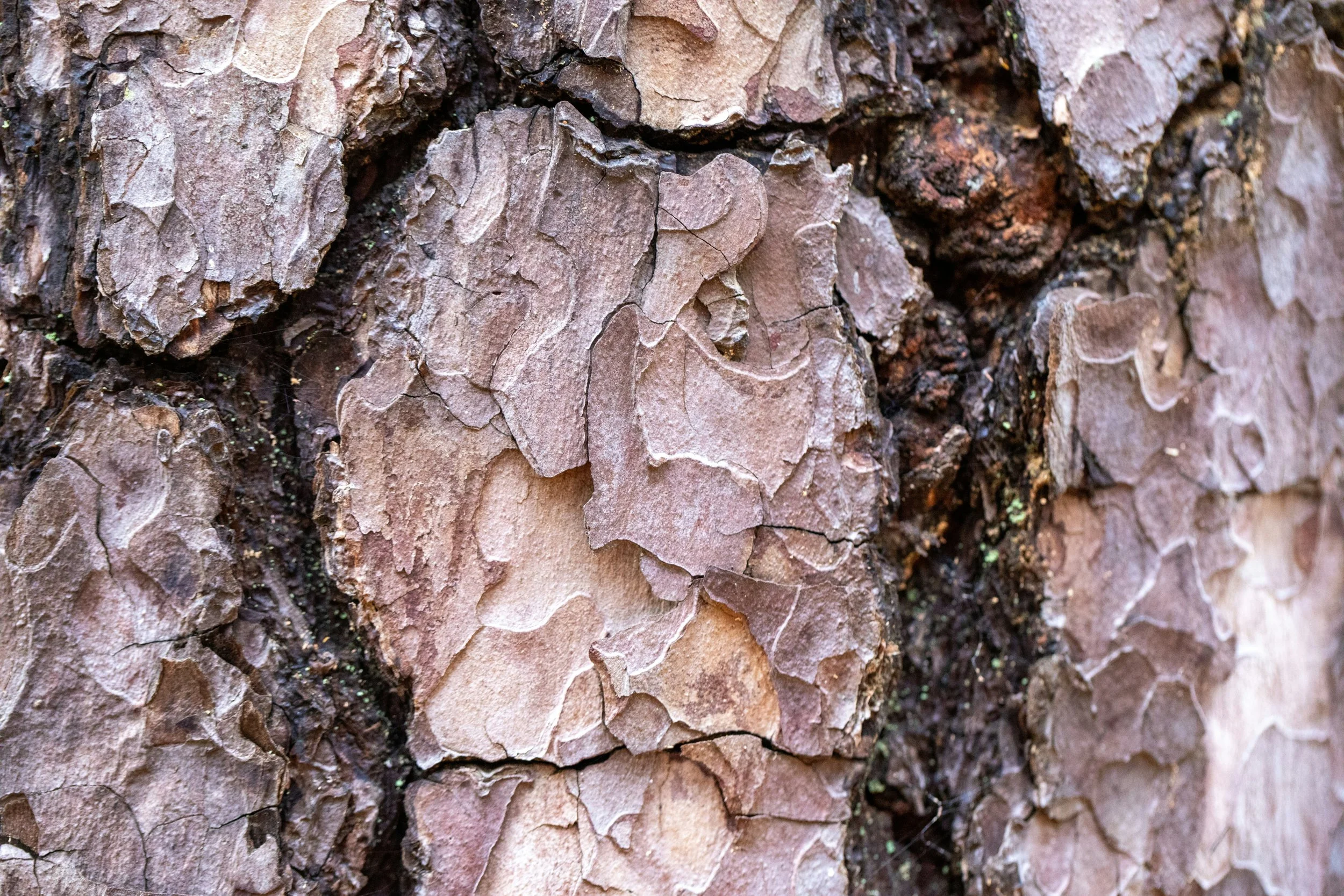 Good Day Psychiatry Mission Statement