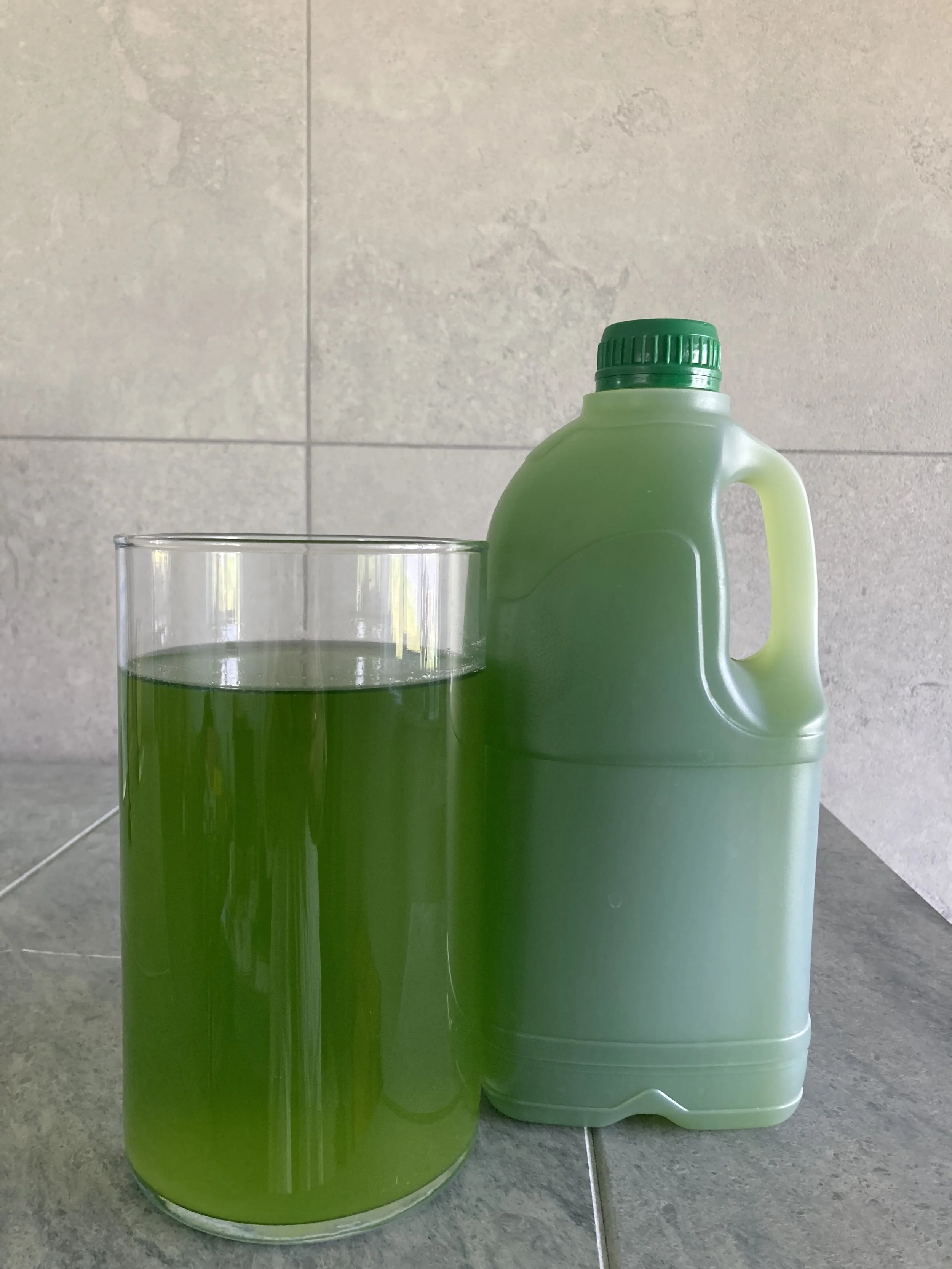 Hlorella – 2L
