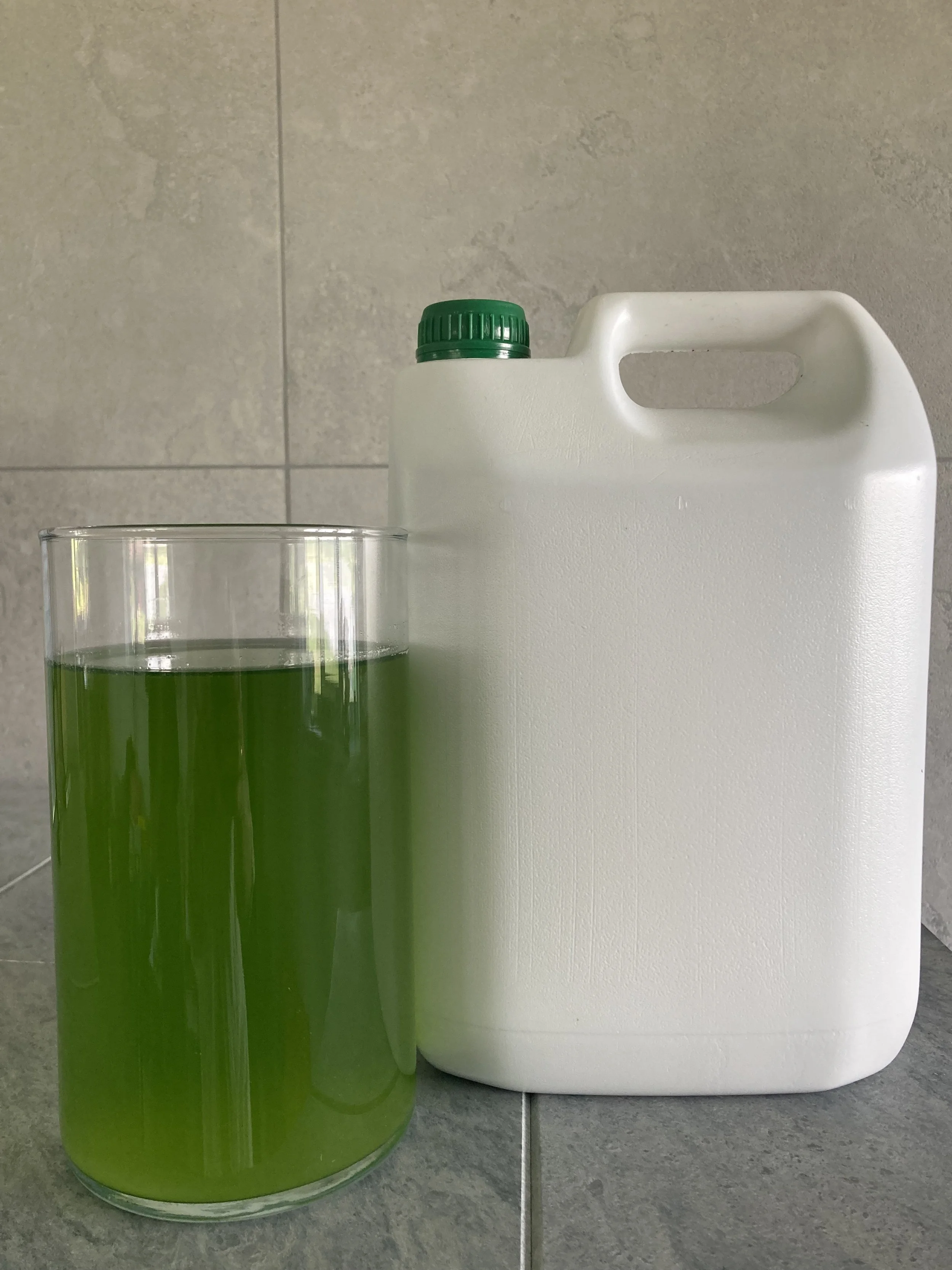 Hlorella – 5L