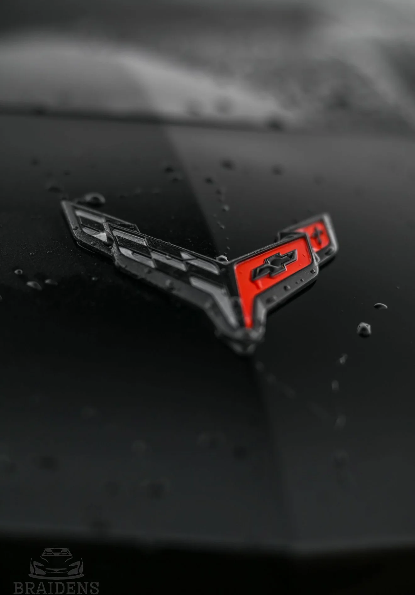 Close-up of a Chevrolet Corvette emblem with a black and red design, on a wet, black surface.