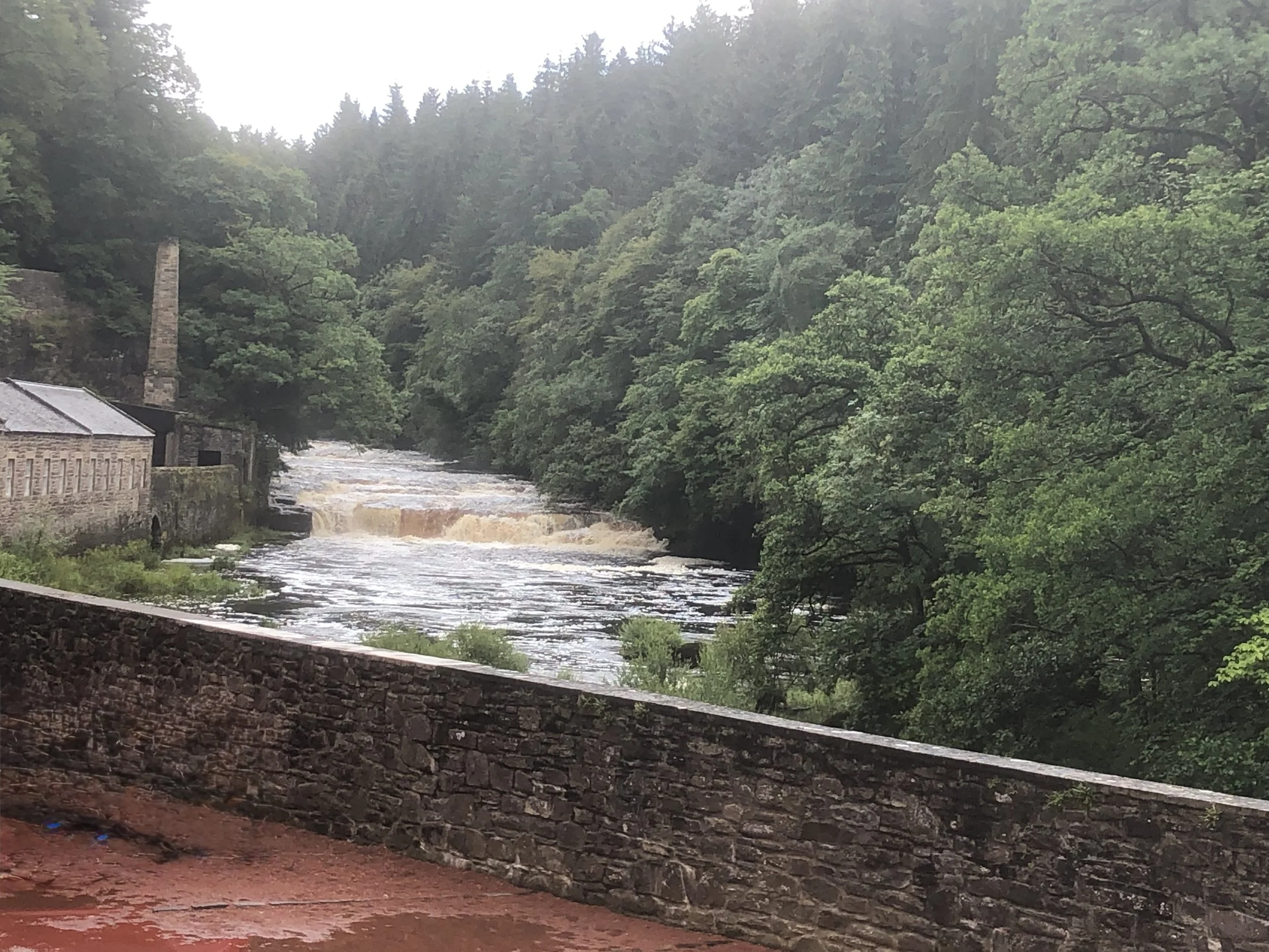 A river flowing through a green forested area with a stone building and chimney on the left side.