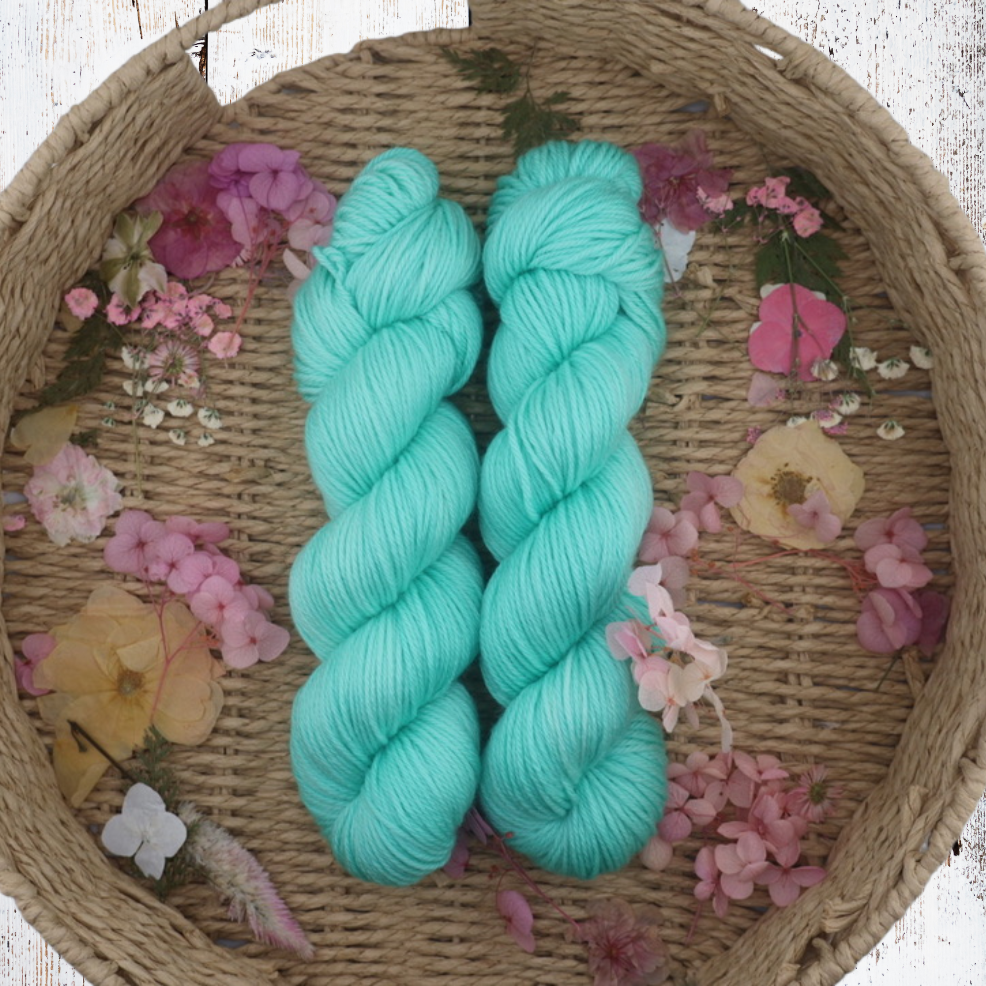 Trailblazer: Medicine Edition - Hand Dyed Merino Yarn