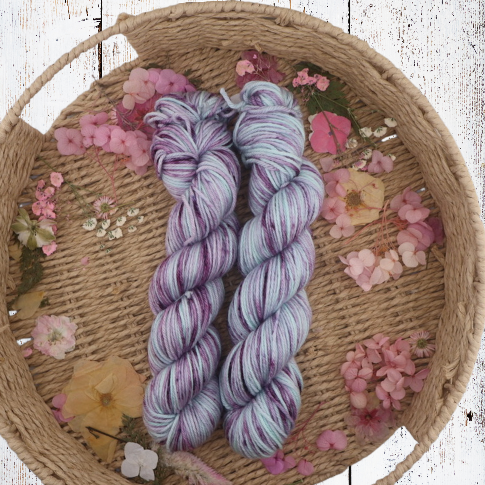 Trailblazer: Activist Edition