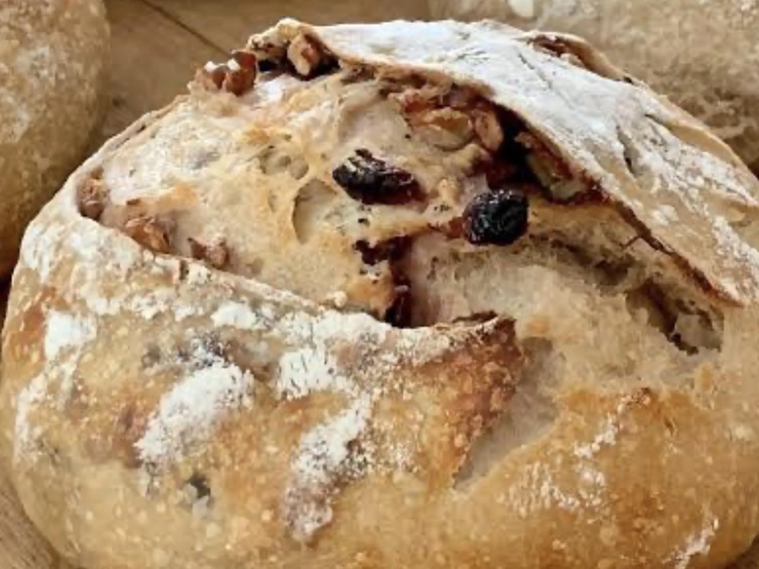 Cranberry Wild Rice Sourdough