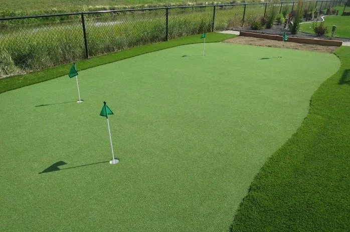Miniature golf putting green with three flags in a backyard.