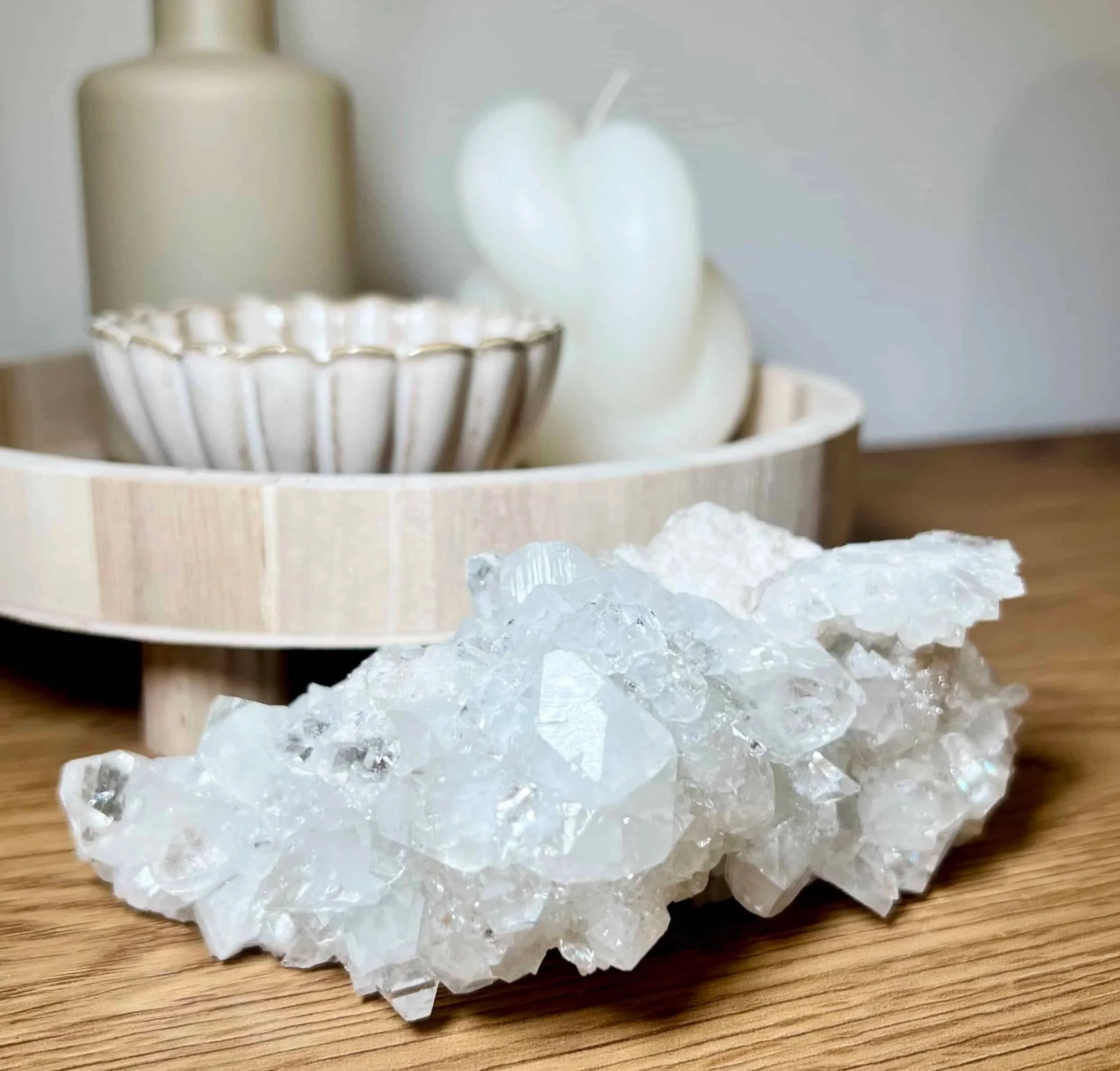 Why We Collect: Finding Meaning in Natural History Objects