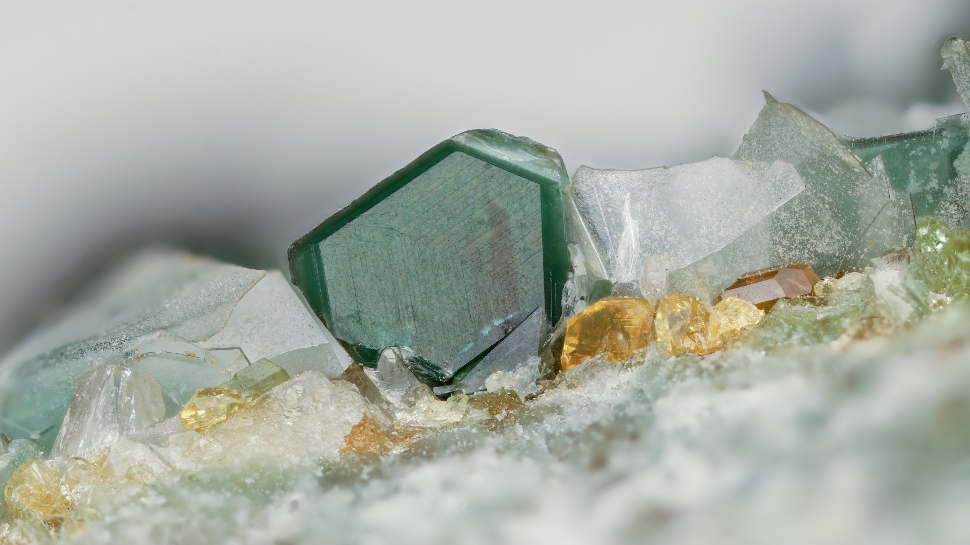 Close-up of a green mineral crystal surrounded by smaller clear and yellow crystals.