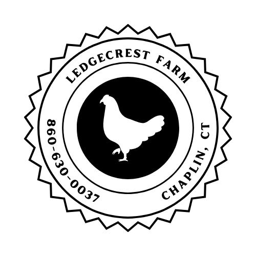 Thank You for Supporting Our Farm 🐓🌱