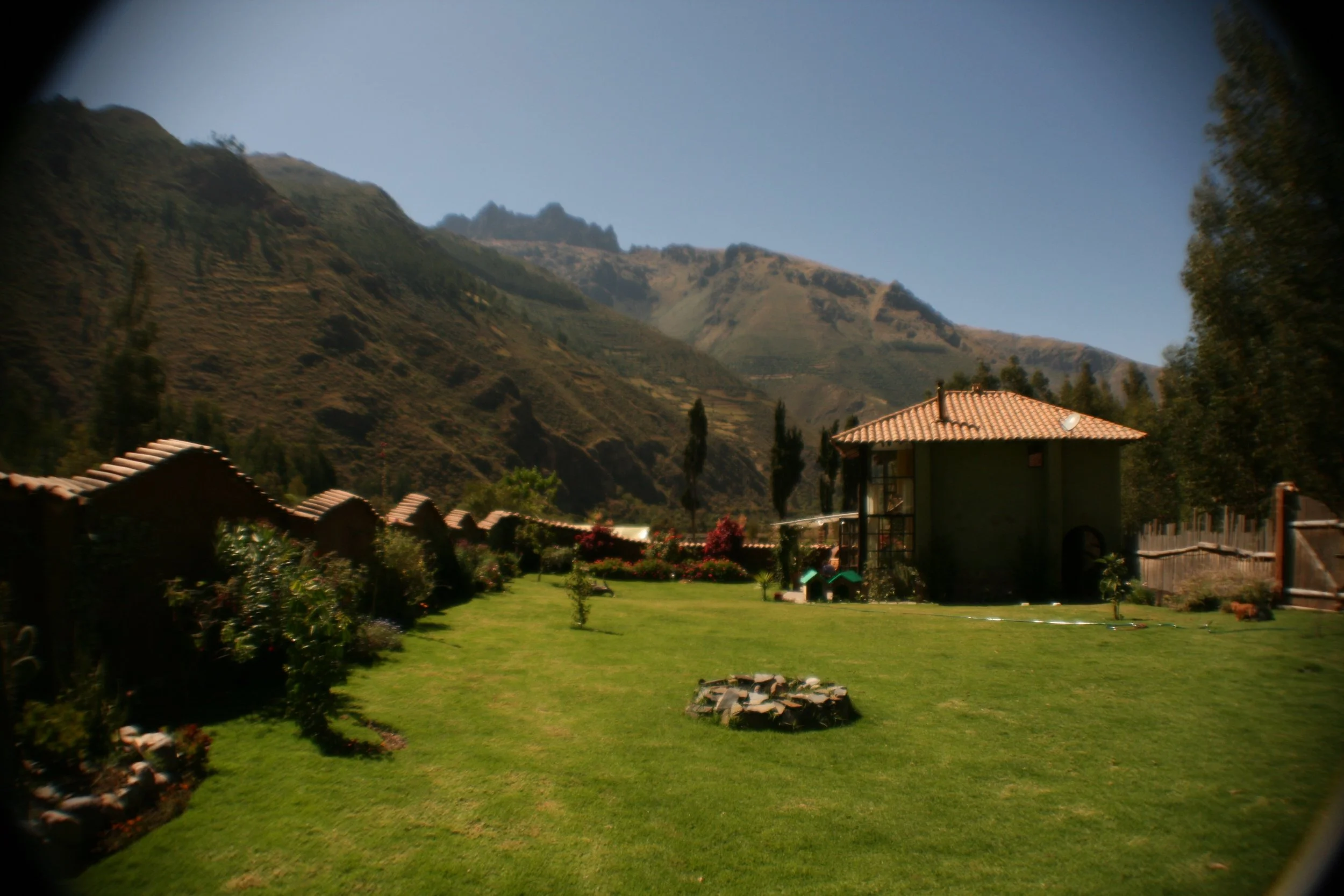 IMG_6582.jpg